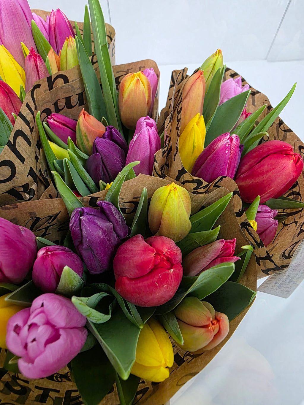 Farm Fresh Tulipa En Mixed Pastel paper( Bunch of 50stems, Length 37cm)