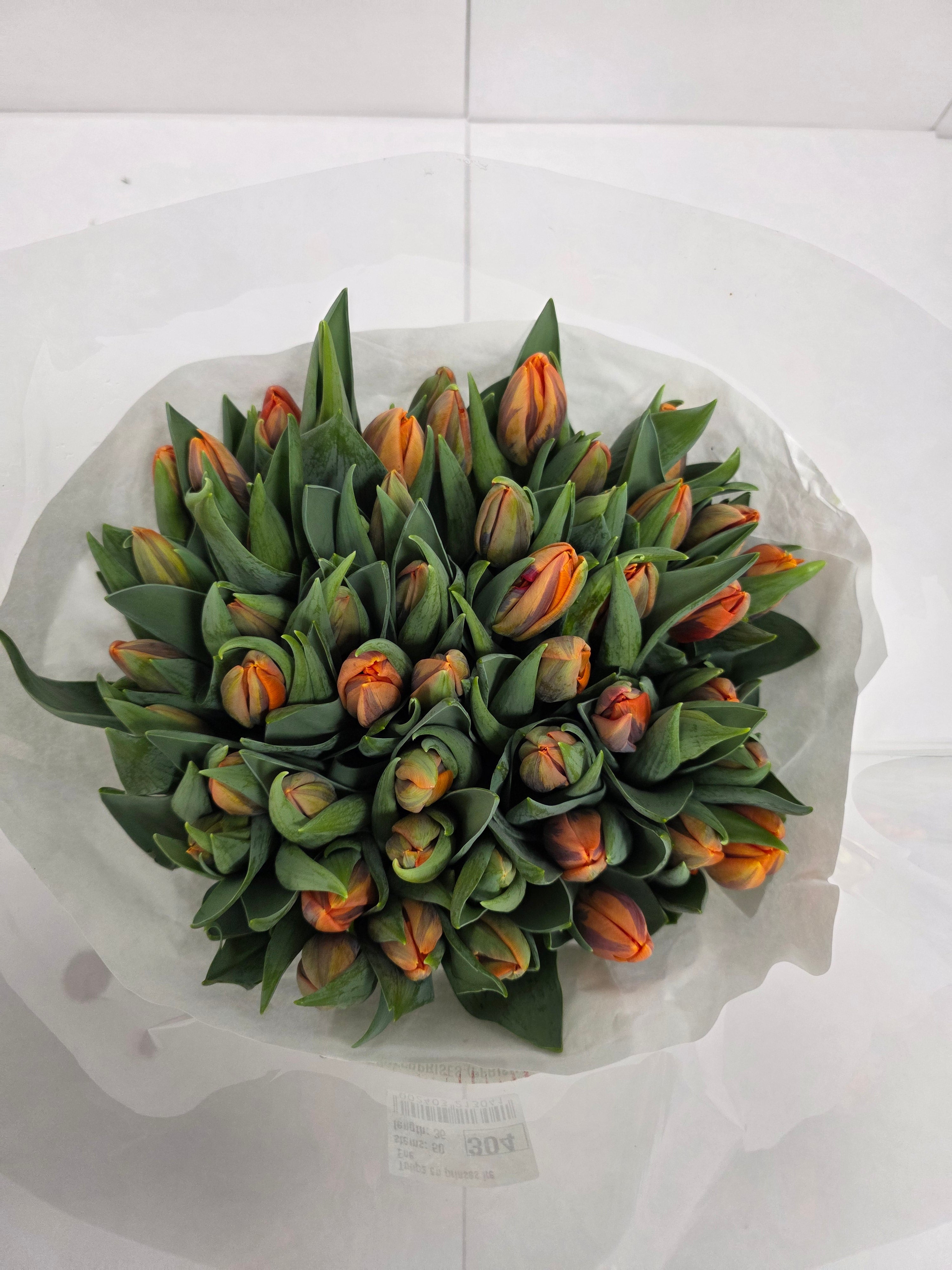 Farm Fresh Tulipa En Prinses Irene ( Bunch of 50stems, Length 36cm)