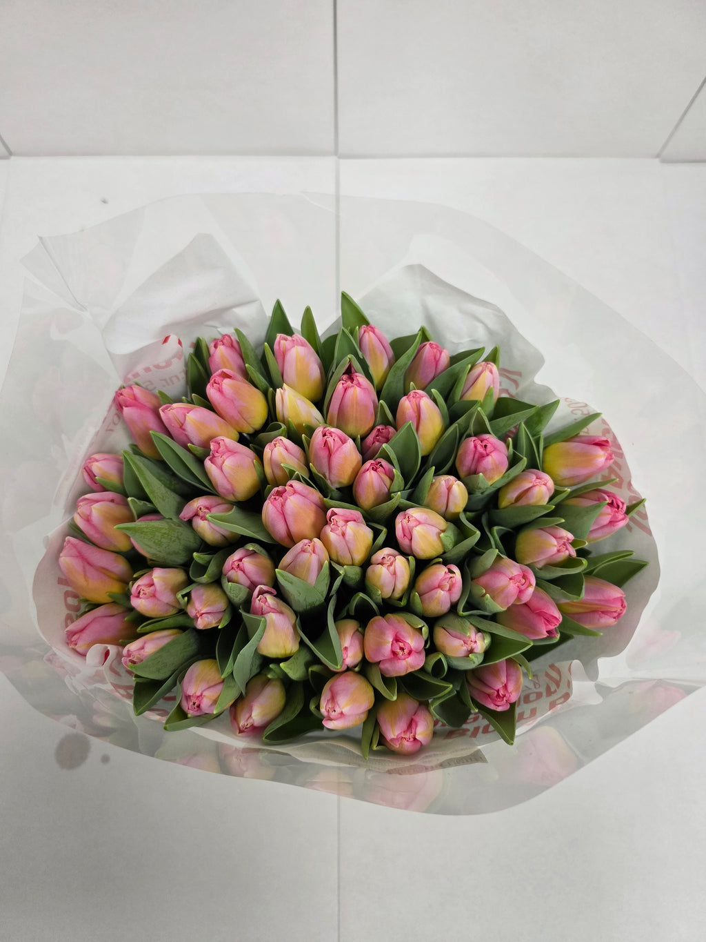 Farm Fresh Tulipa En Tom Pouce( Bunch of 50stems, Length 37cm)