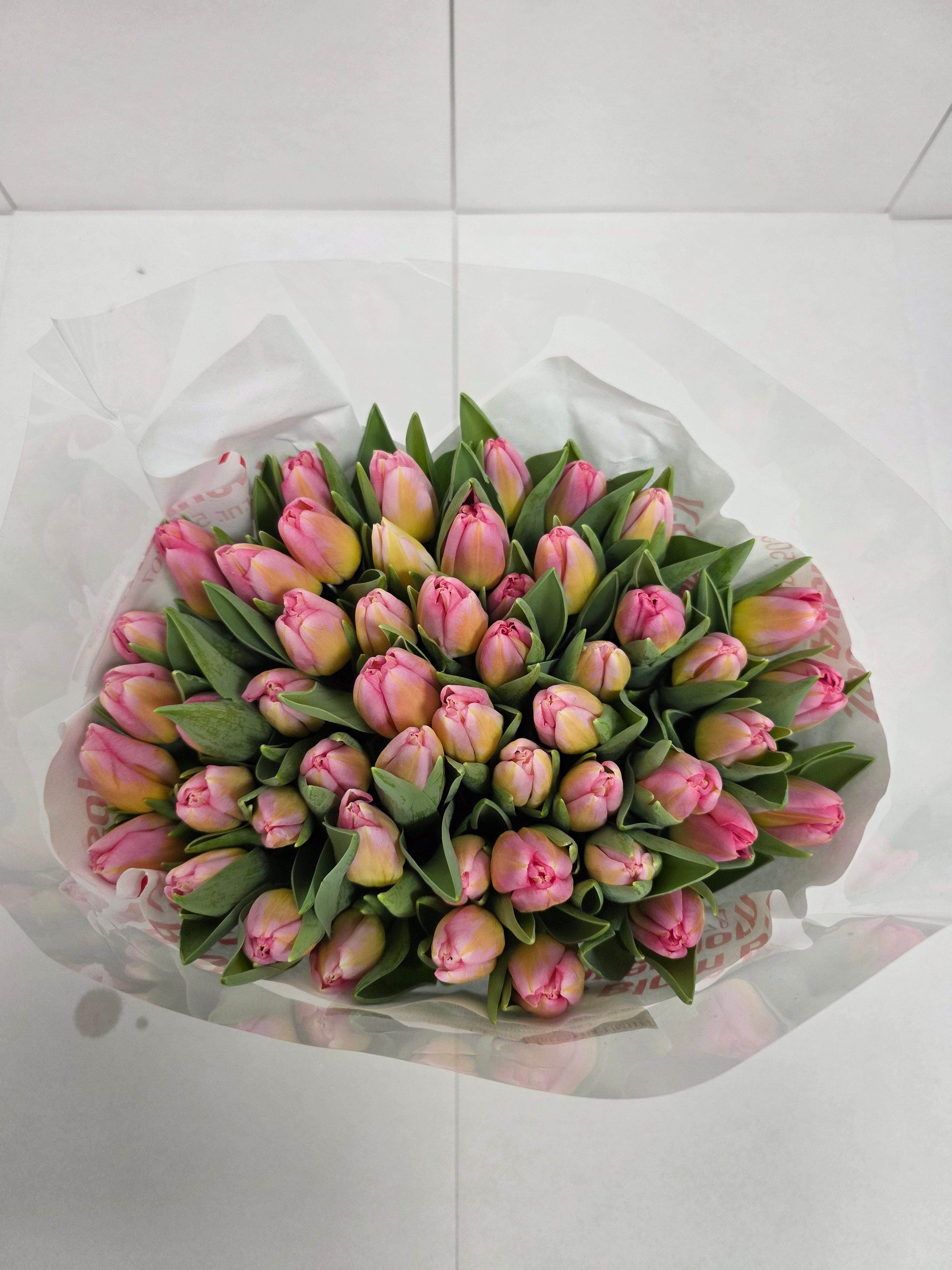 Farm Fresh Tulipa En Tom Pouce( Bunch of 50stems, Length 37cm)