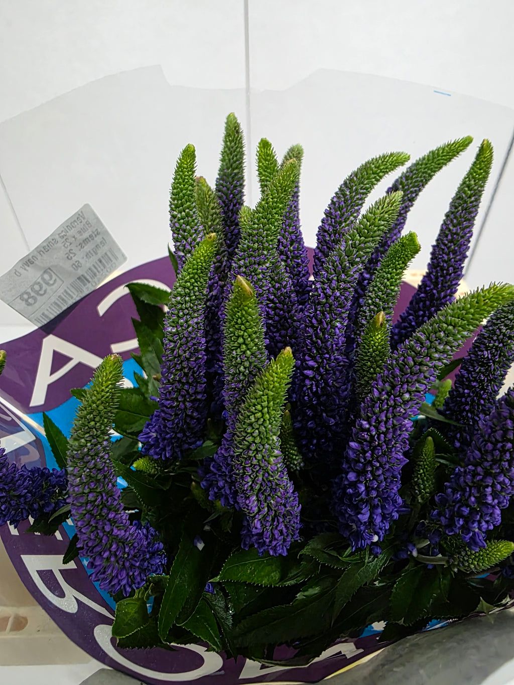Farm Fresh Veronica Smart Navy Blue(Bunch of 25stems, Length 60cm)