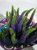 Farm Fresh Veronica Smart Navy Blue(Bunch of 25stems, Length 60cm)