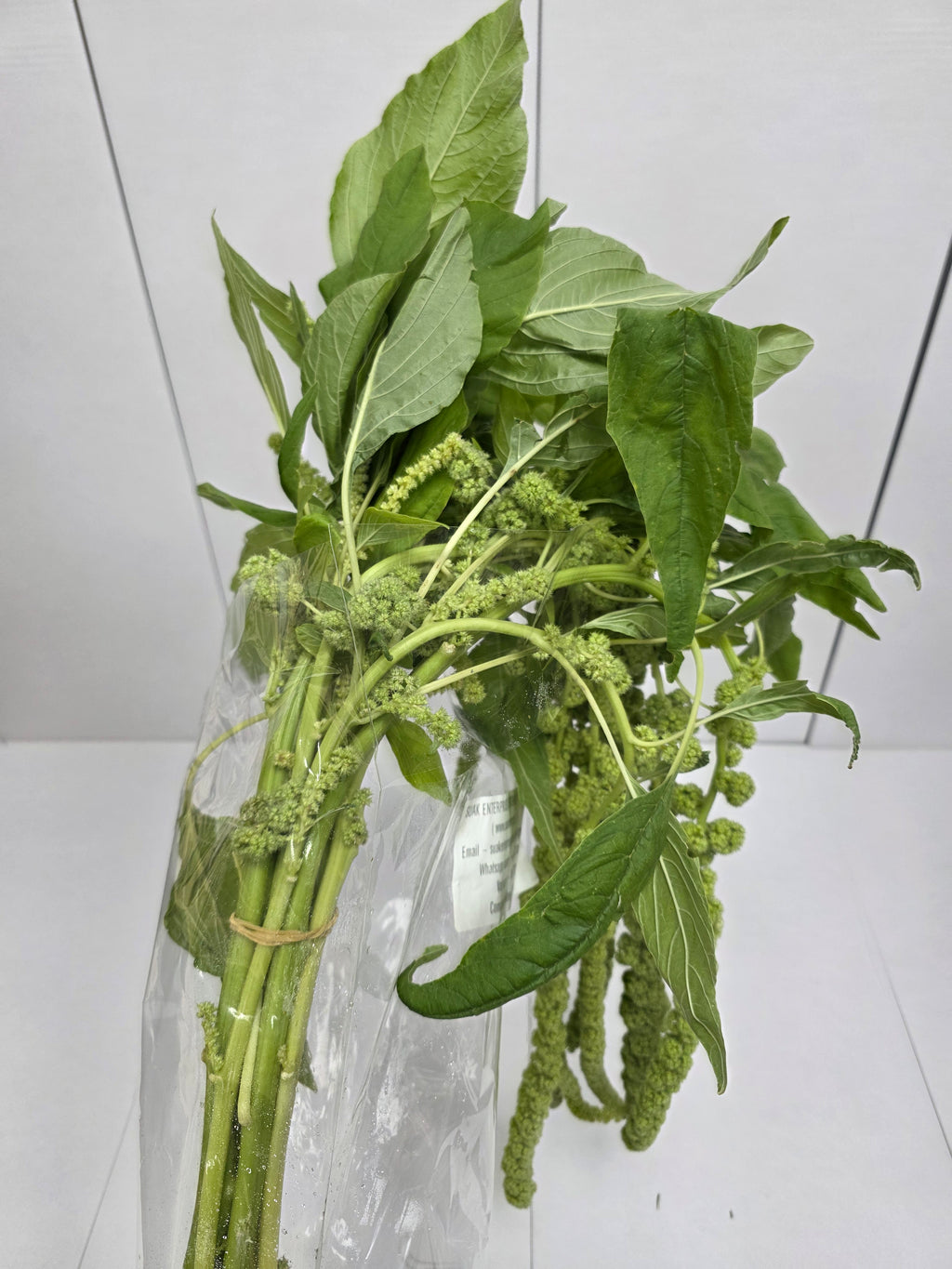 Farm Fresh Amaranthus Ca Cycloop(Bunch of 10 Stems, Length 80cm)