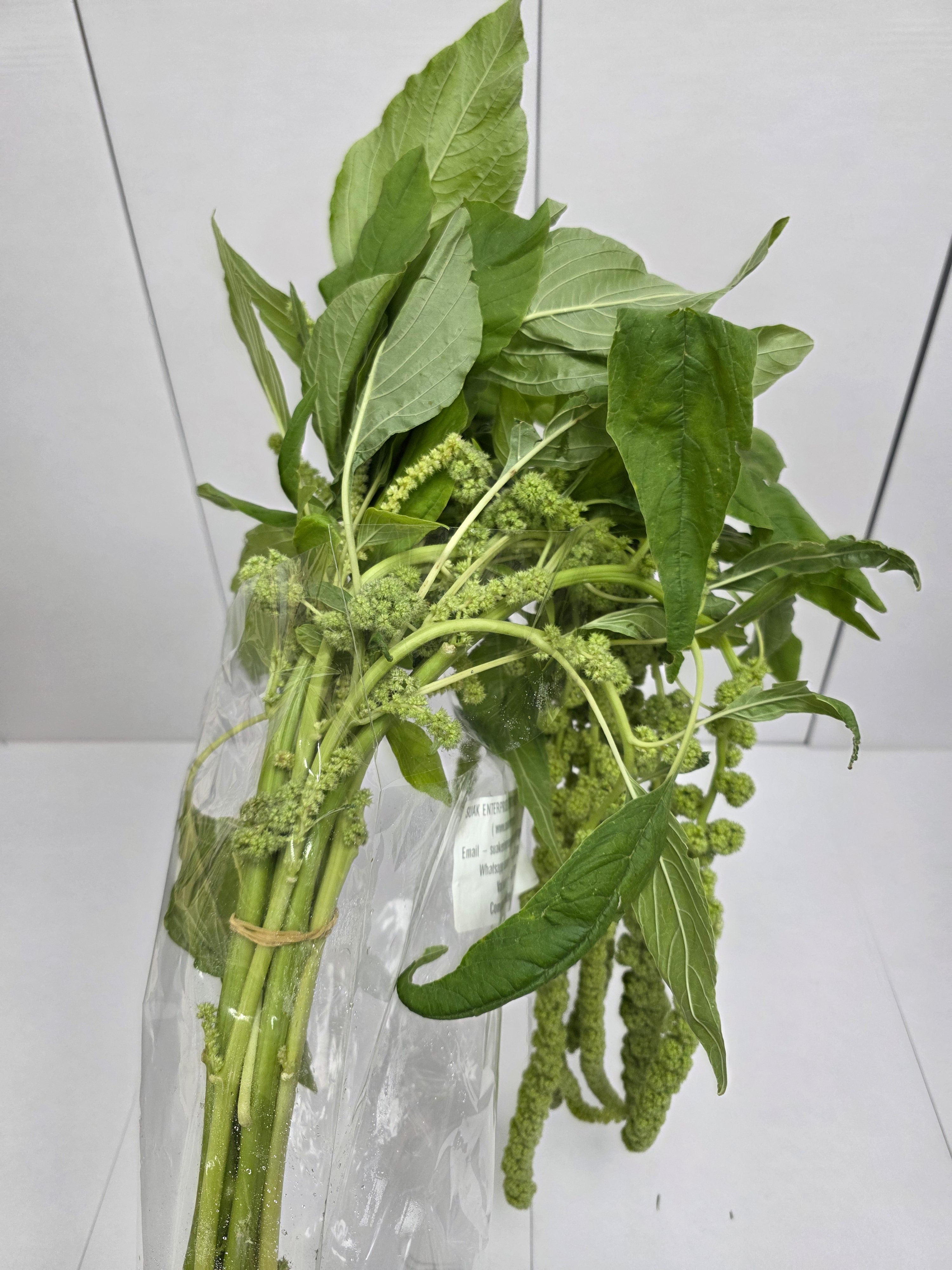 Farm Fresh Amaranthus Ca Cycloop(Bunch of 10 Stems, Length 80cm)