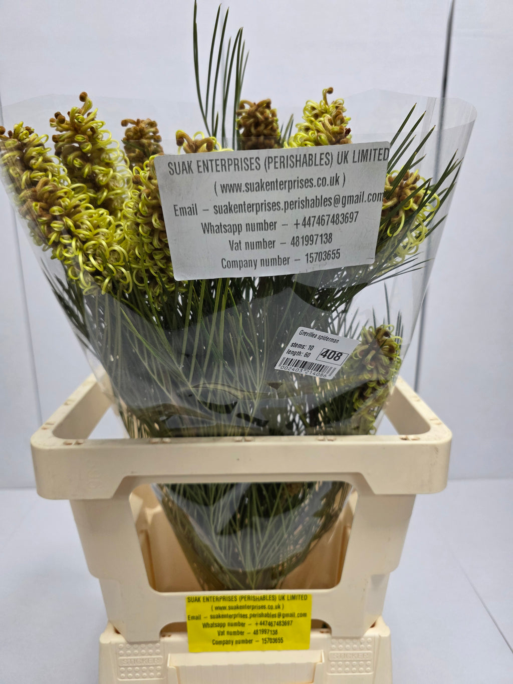 Farm Fresh Grevillea Spiderman (Bunch of 10 Stems, Length 60cm)