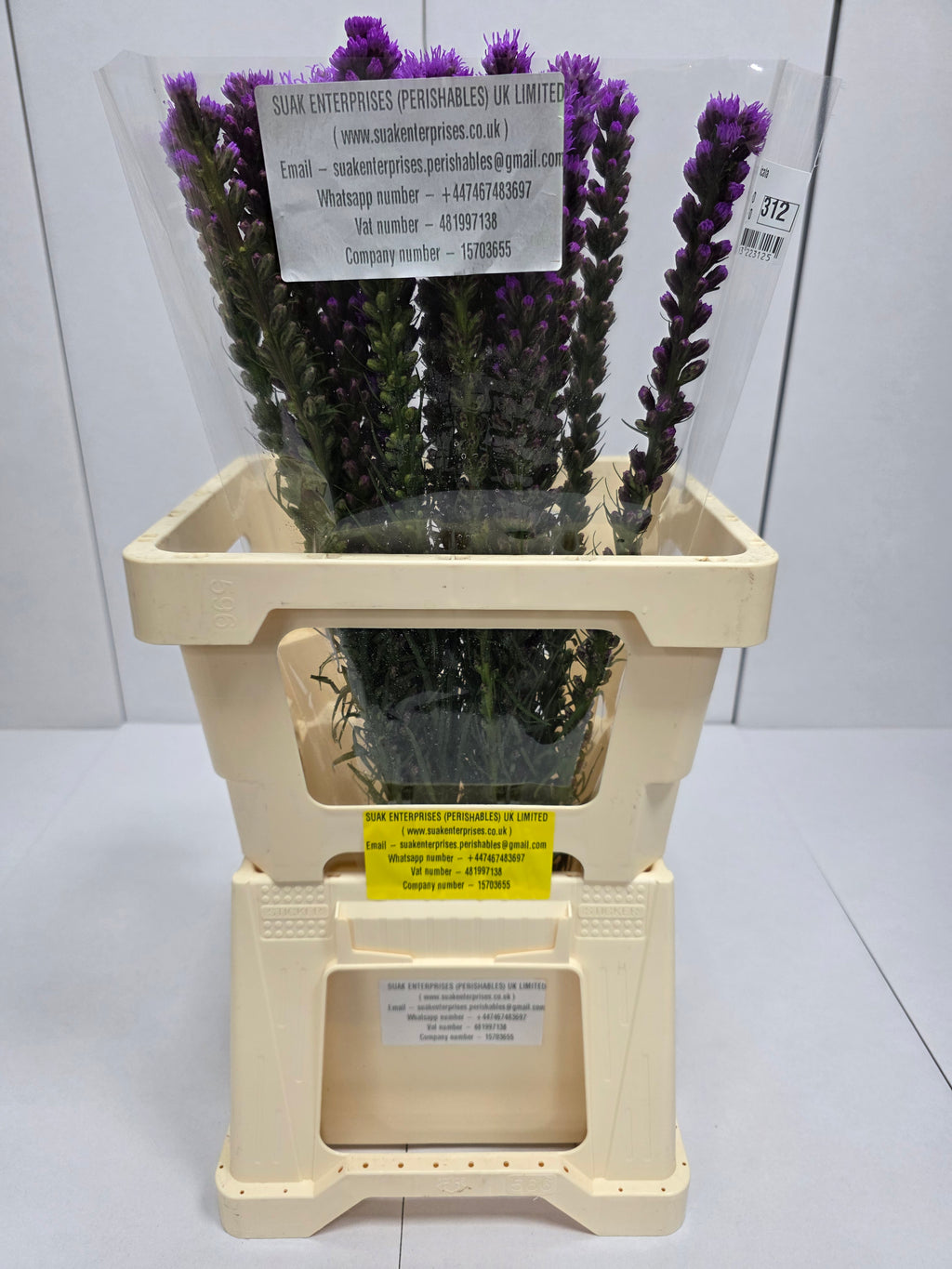 Farm Fresh Liatris Spicata (Bunch of 20 Stems, Length 60cm)