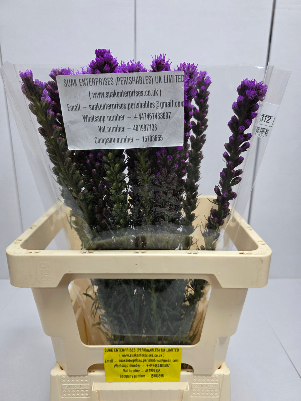 Farm Fresh Liatris Spicata (Bunch of 20 Stems, Length 60cm)