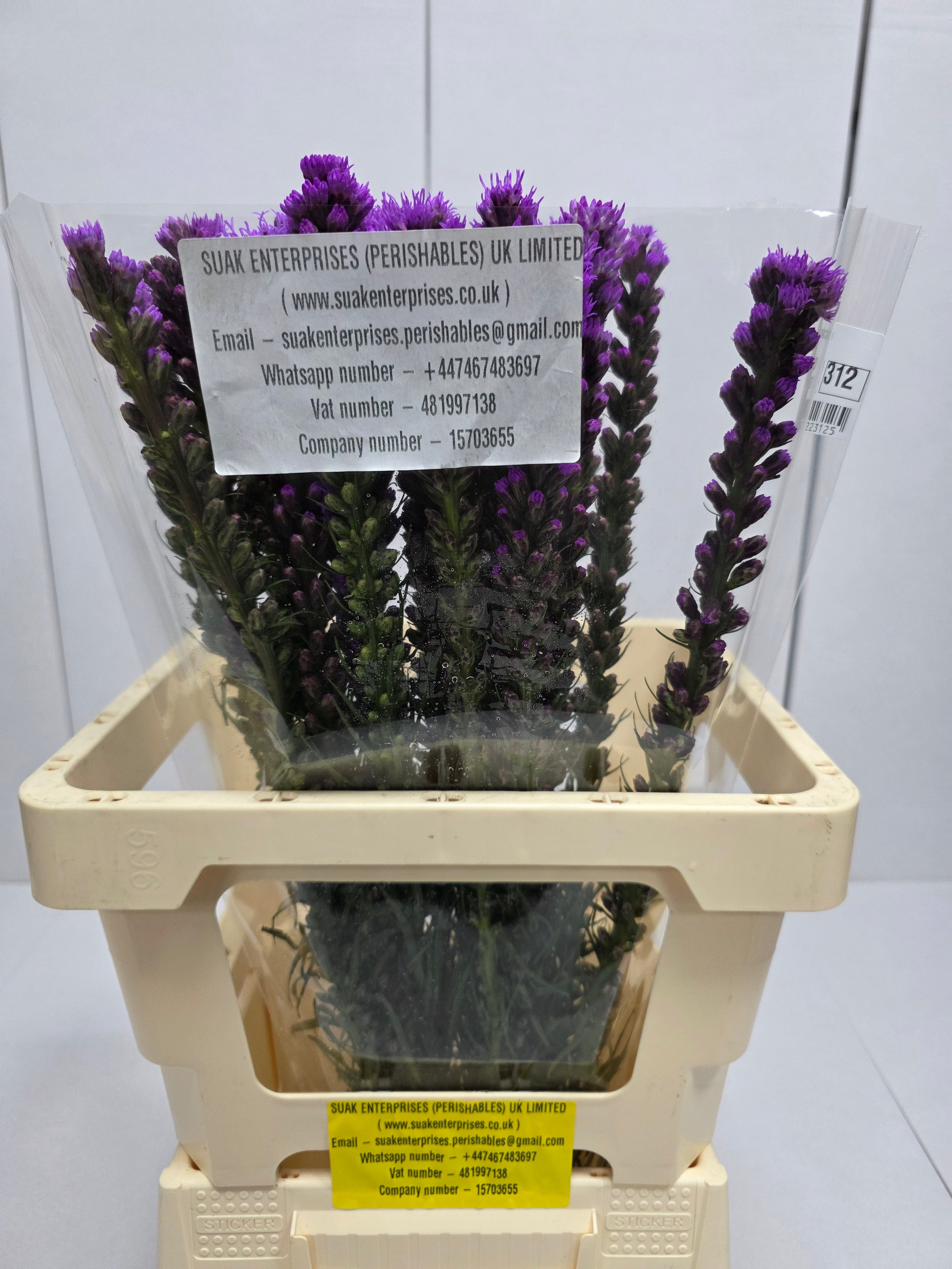 Farm Fresh Liatris Spicata (Bunch of 20 Stems, Length 60cm)