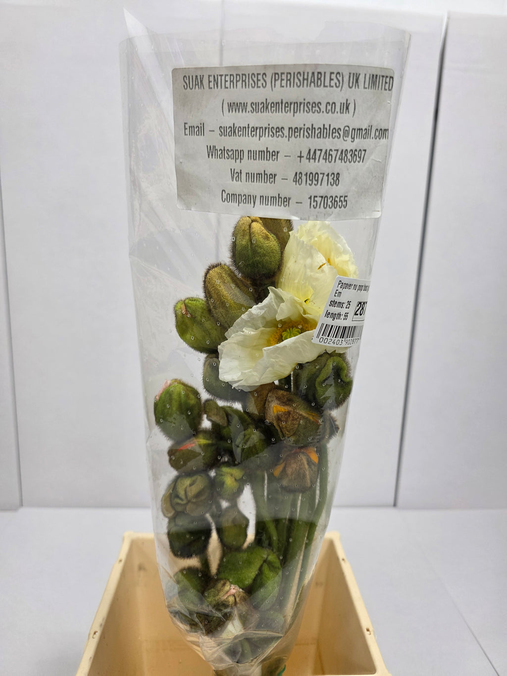 Farm Fresh Papaver Nu Pop Bus Gem (Bunch of 25 Stems, Length 55cm)