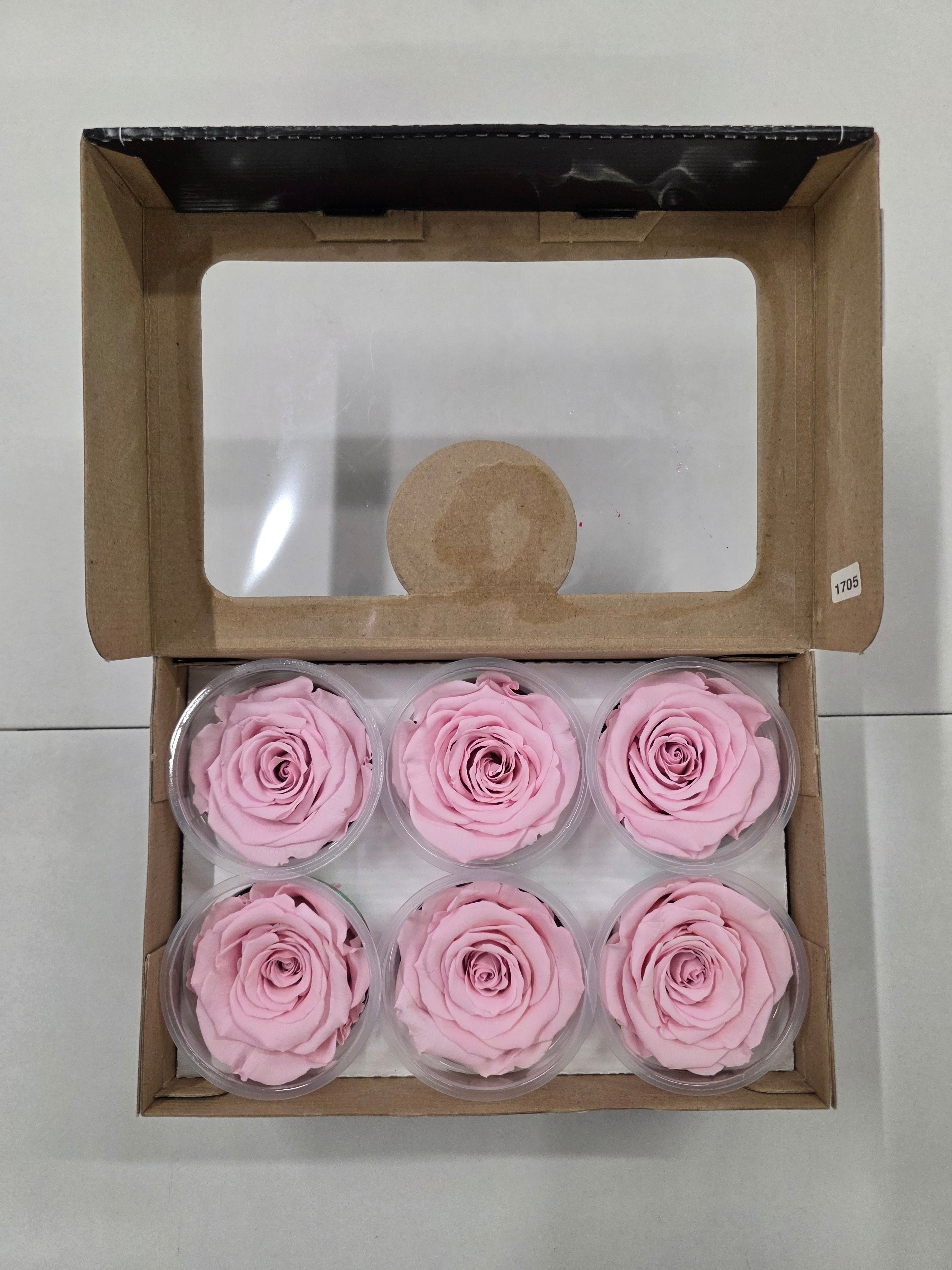 Artificial Preserved Rosa Xl Pink 04
