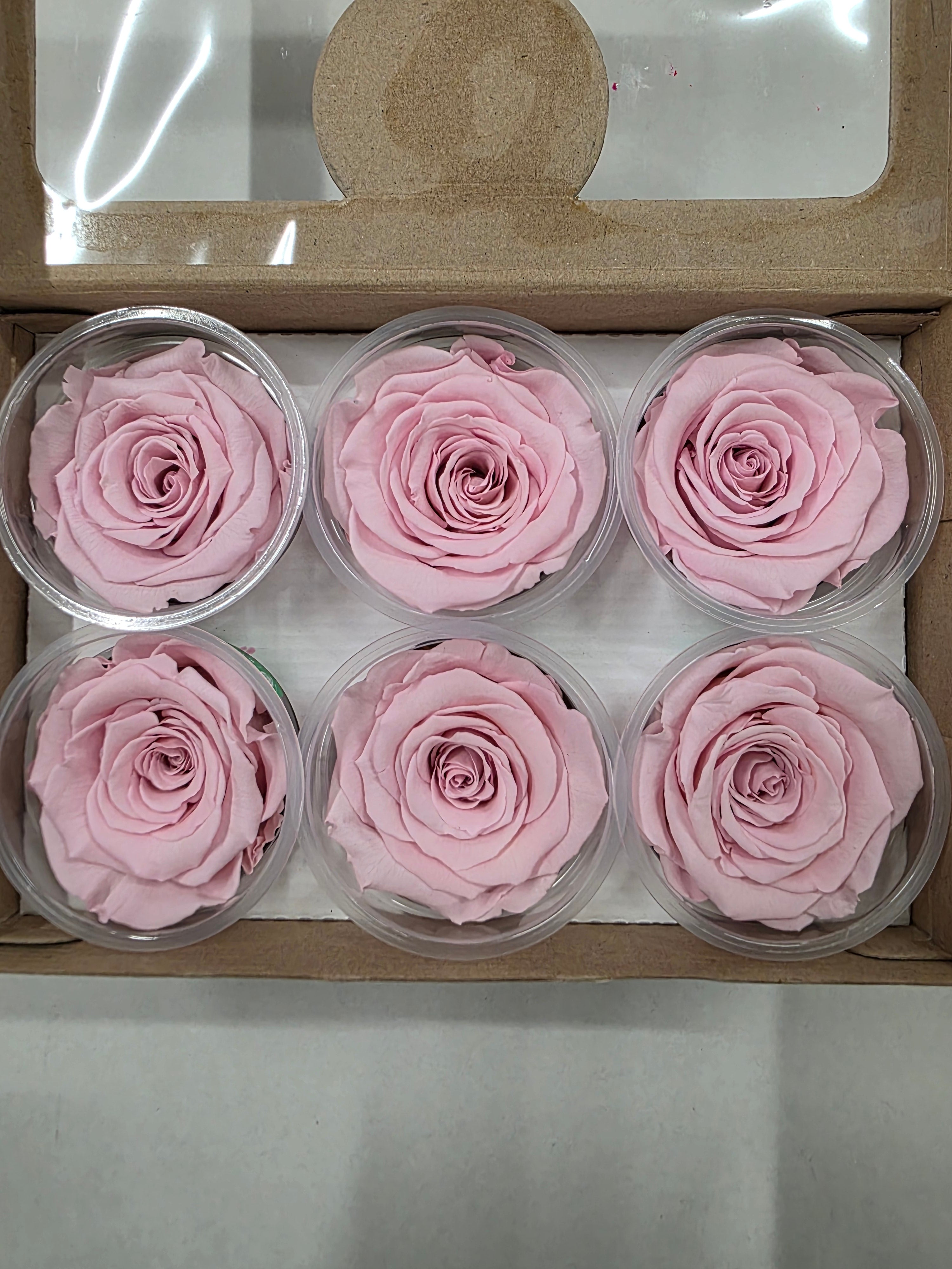 Artificial Preserved Rosa Xl Pink 04