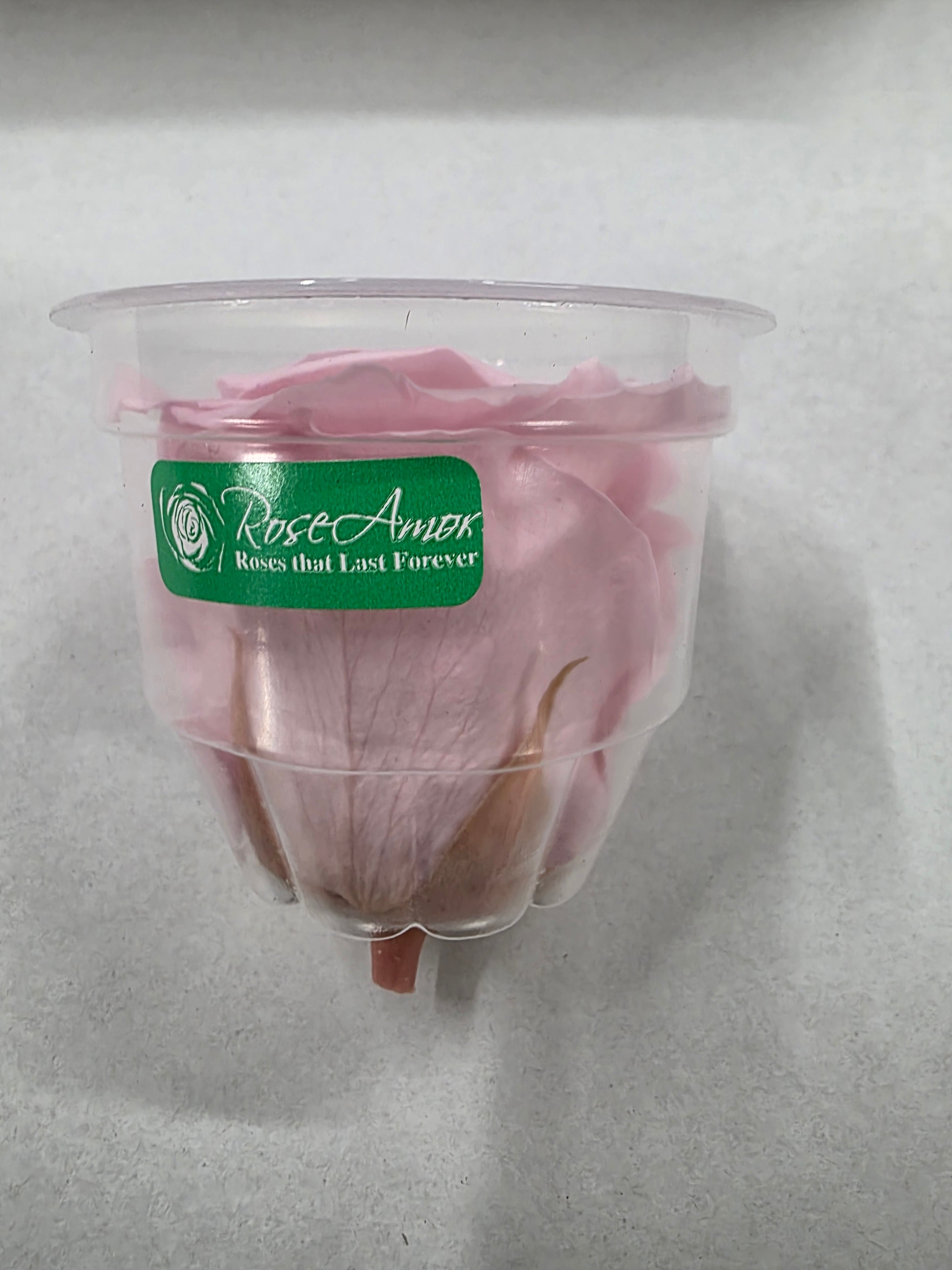 Artificial Preserved Rosa Xl Pink 04