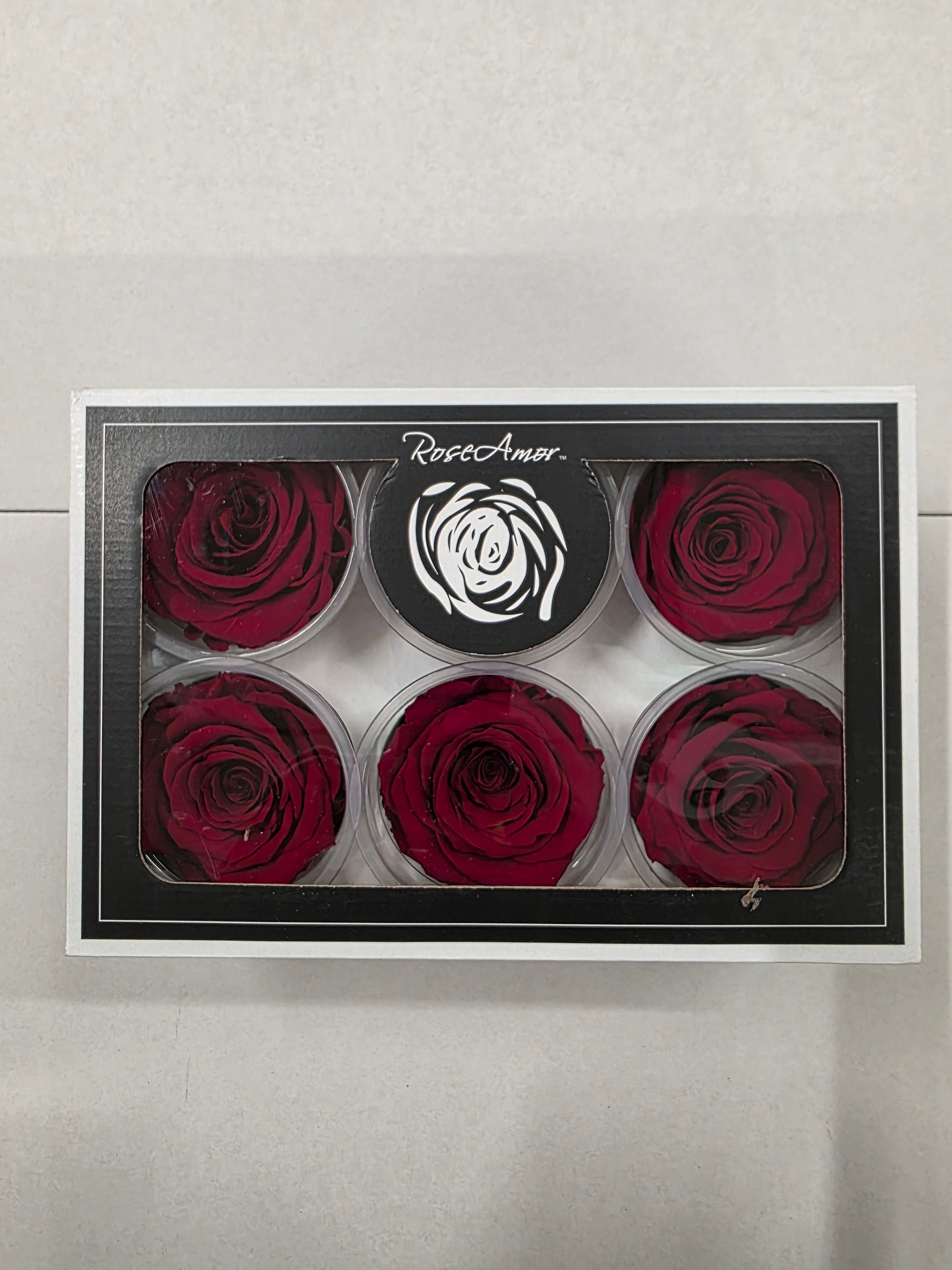 Artificial Preserved Rosa Xl Red 01
