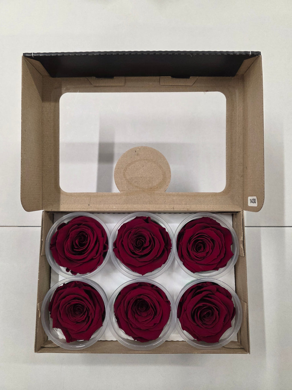 Artificial Preserved Rosa Xl Red 01