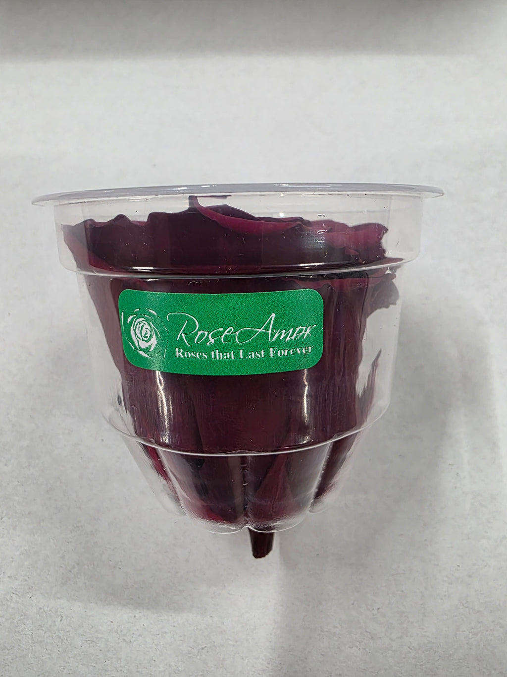 Artificial Preserved Rosa Xl Red 01