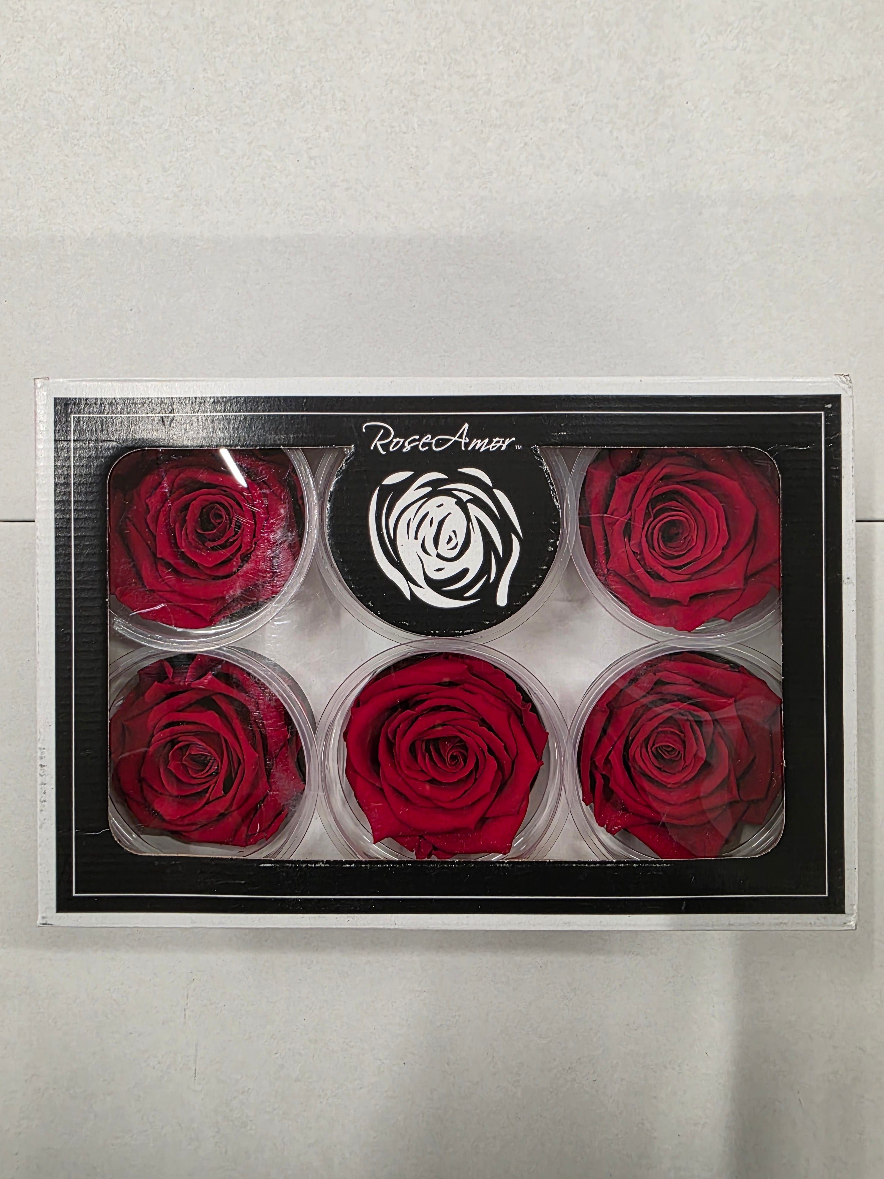 Artificial Preserved Rosa Xl Red 02