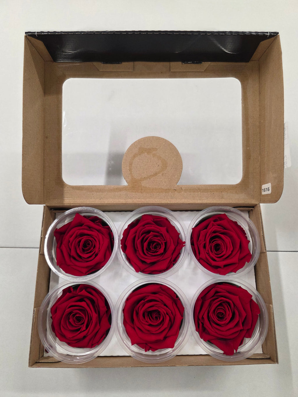 Artificial Preserved Rosa Xl Red 02