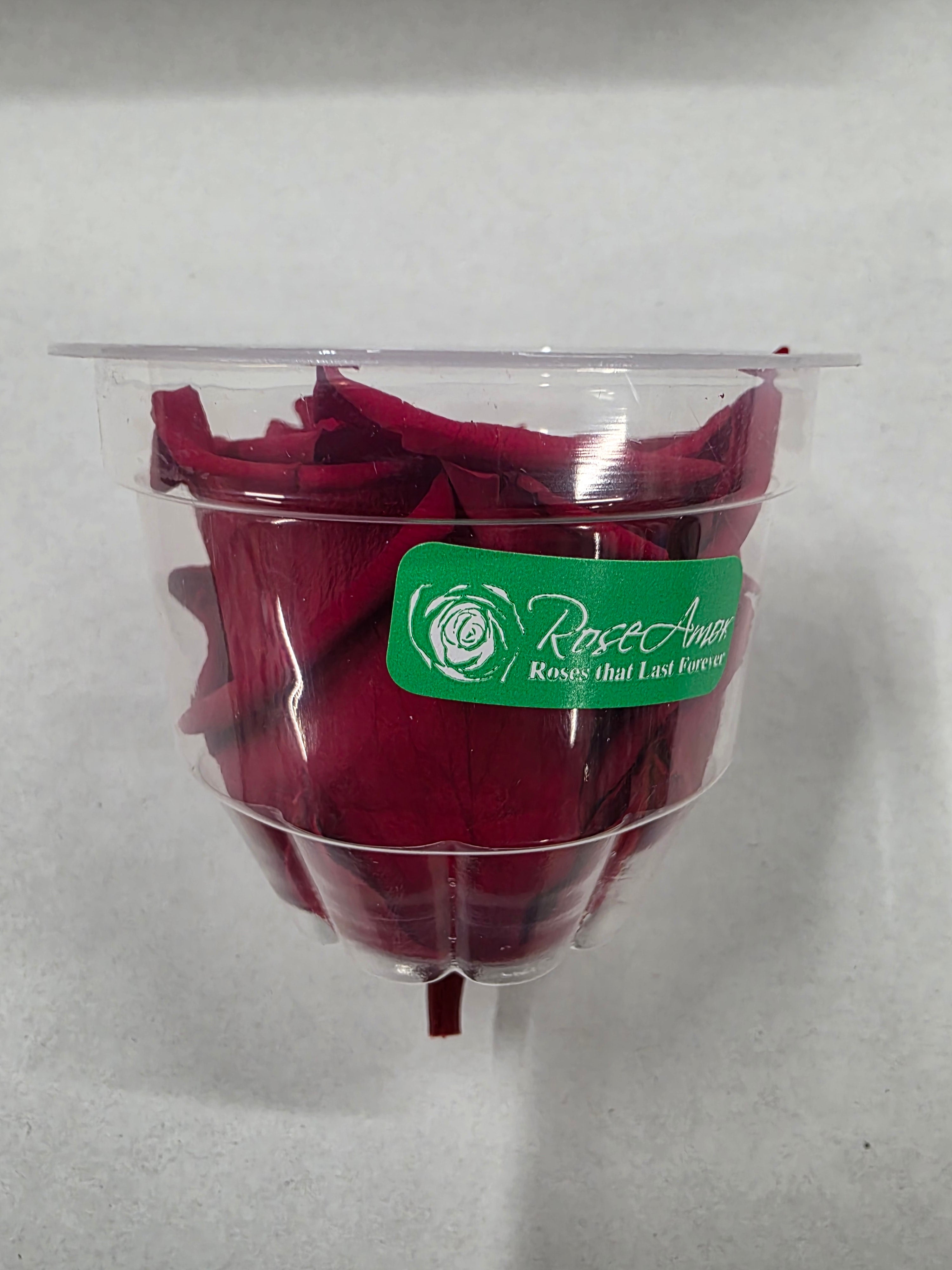 Artificial Preserved Rosa Xl Red 02