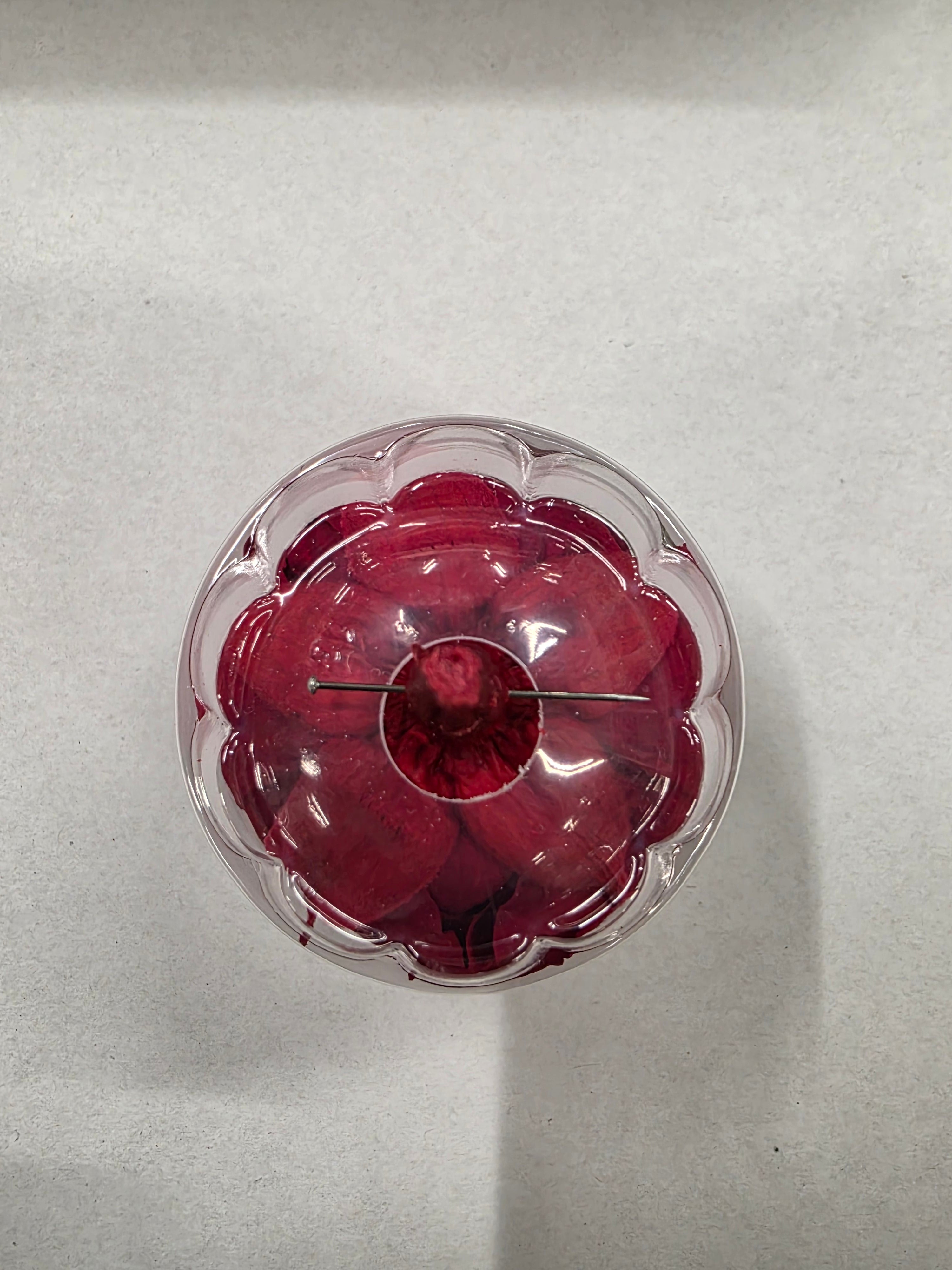 Artificial Preserved Rosa Xl Red 02