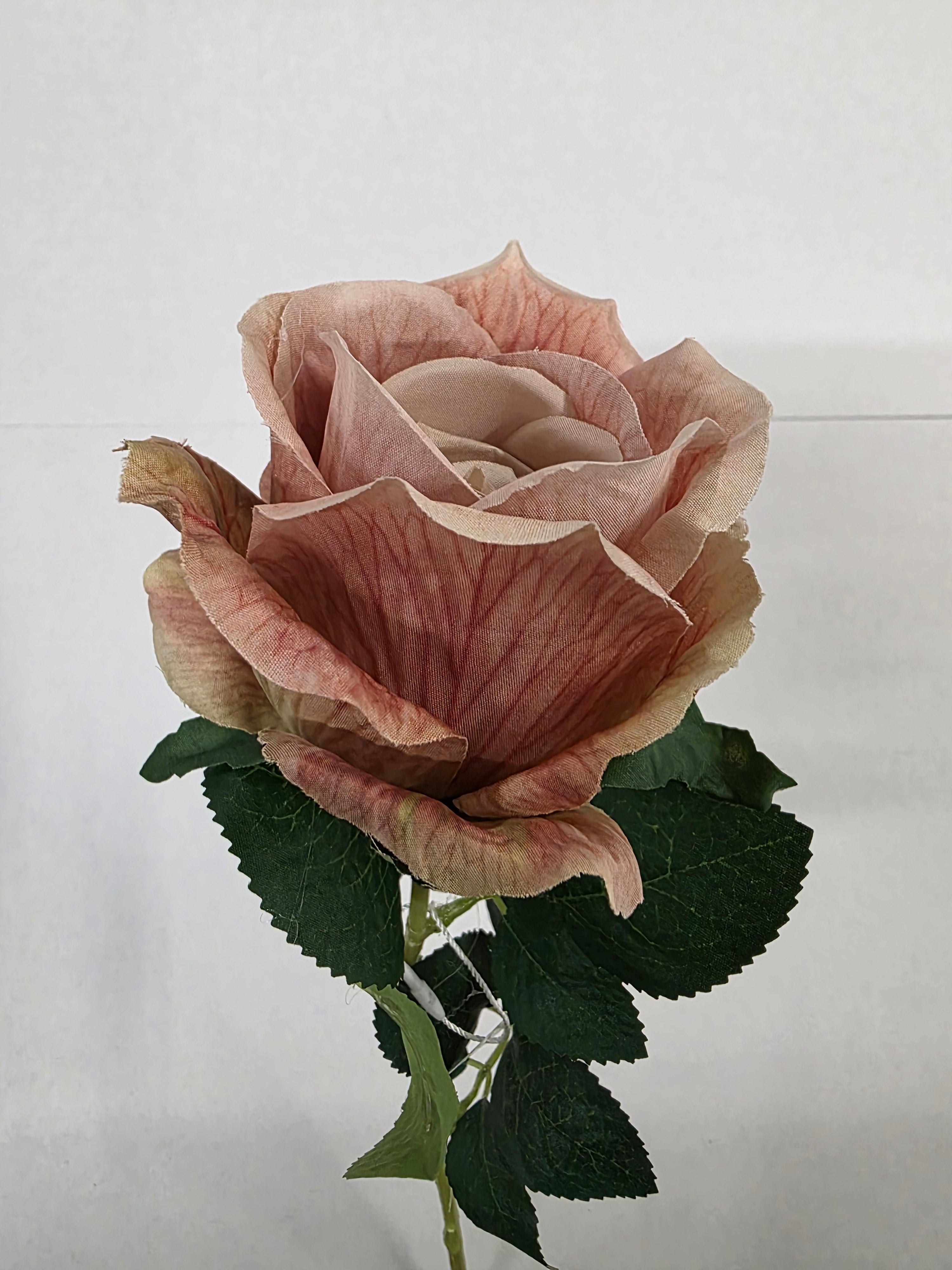 Artificial Essential Garden Rose Vintage Blush (PACK OF 4)