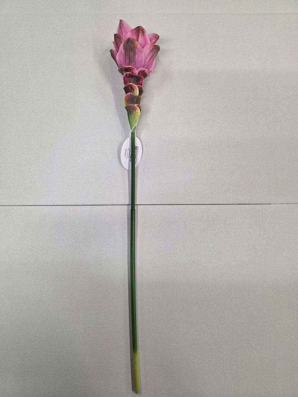 Artificial Curcuma Pink 63cm (PACK OF 2)