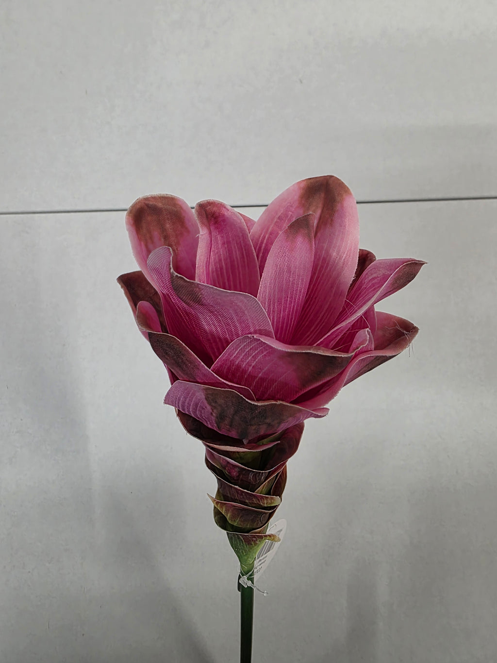 Artificial Curcuma Pink 63cm (PACK OF 2)