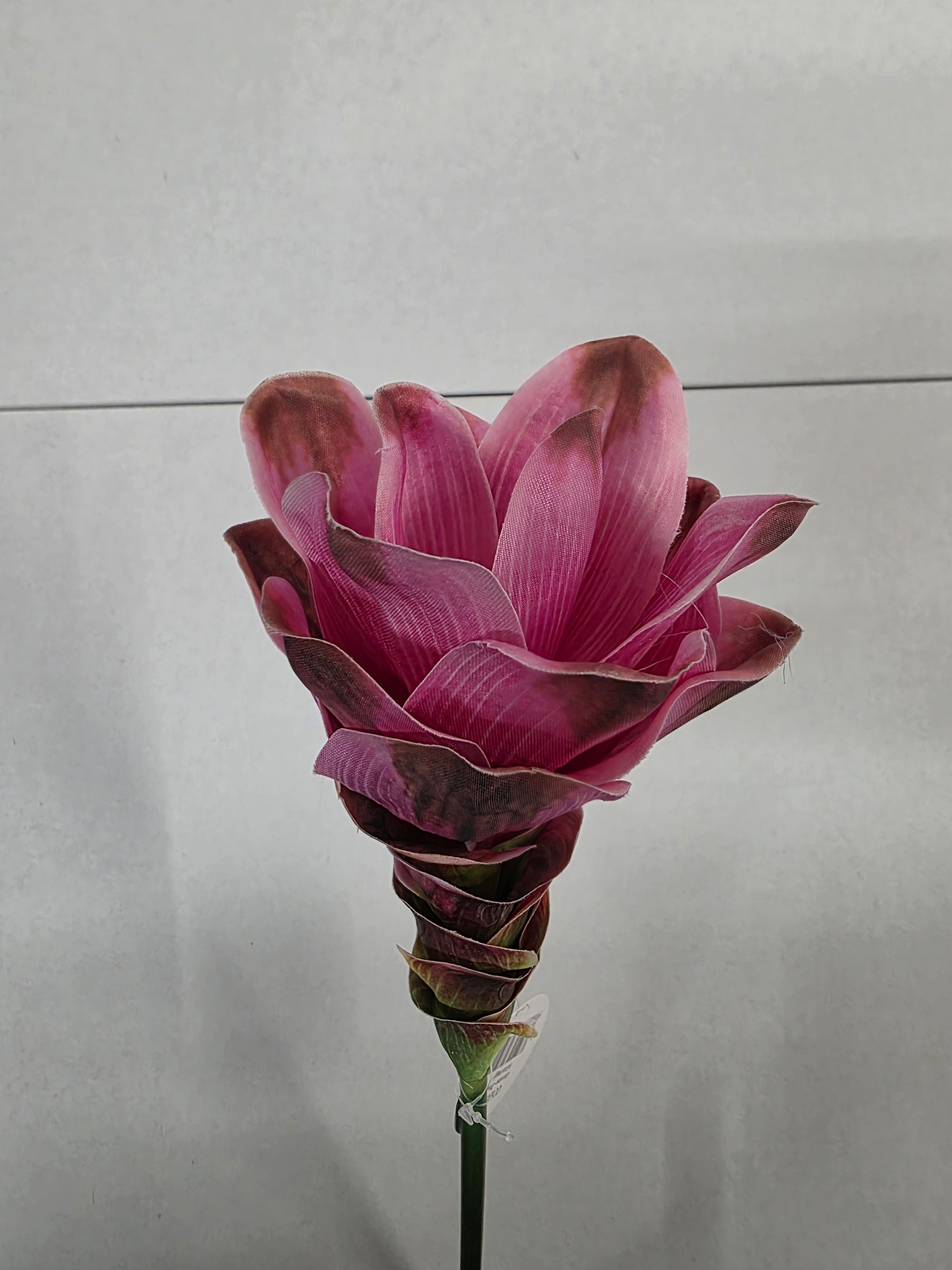 Artificial Curcuma Pink 63cm (PACK OF 2)