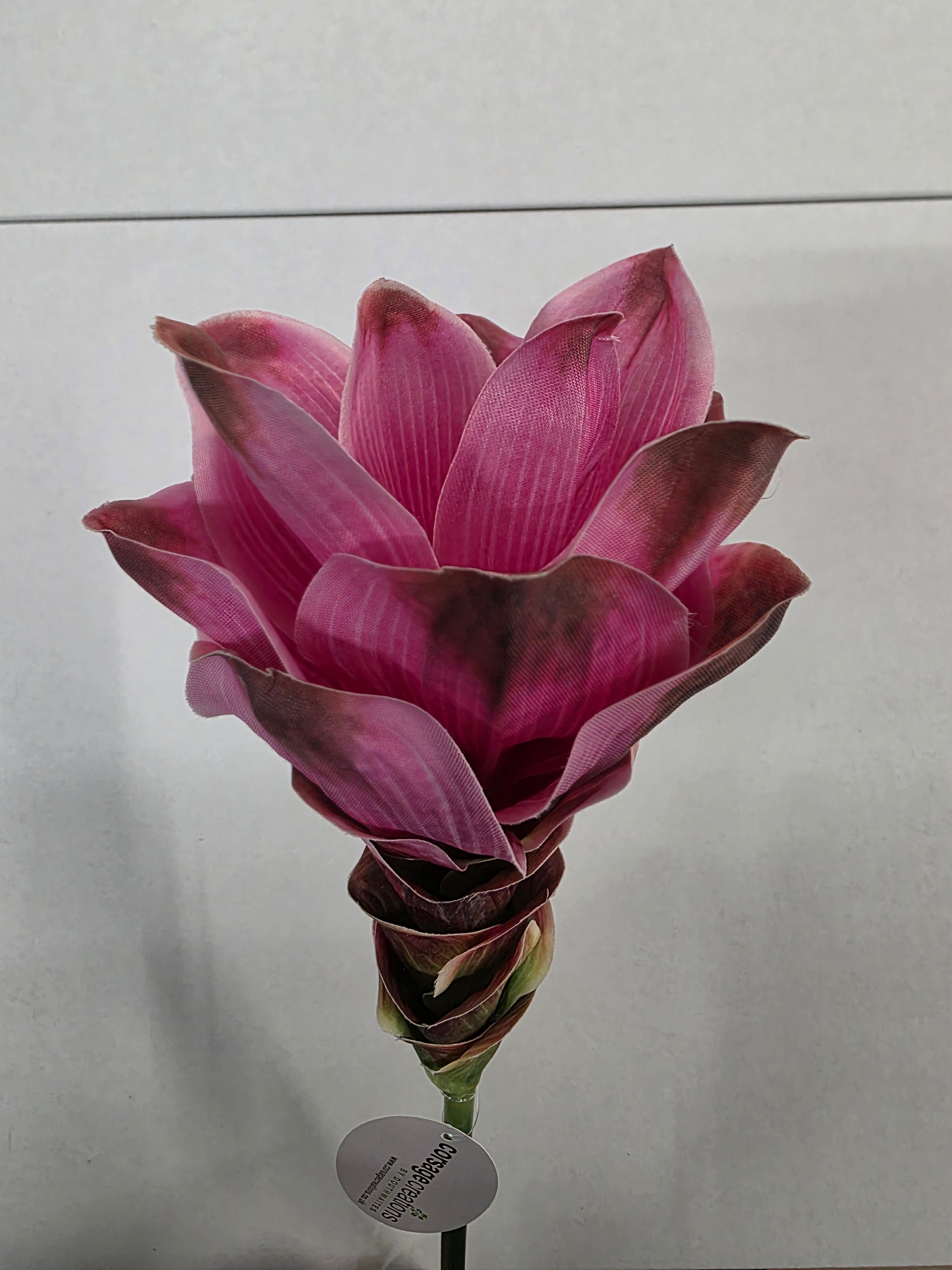 Artificial Curcuma Pink 63cm (PACK OF 2)