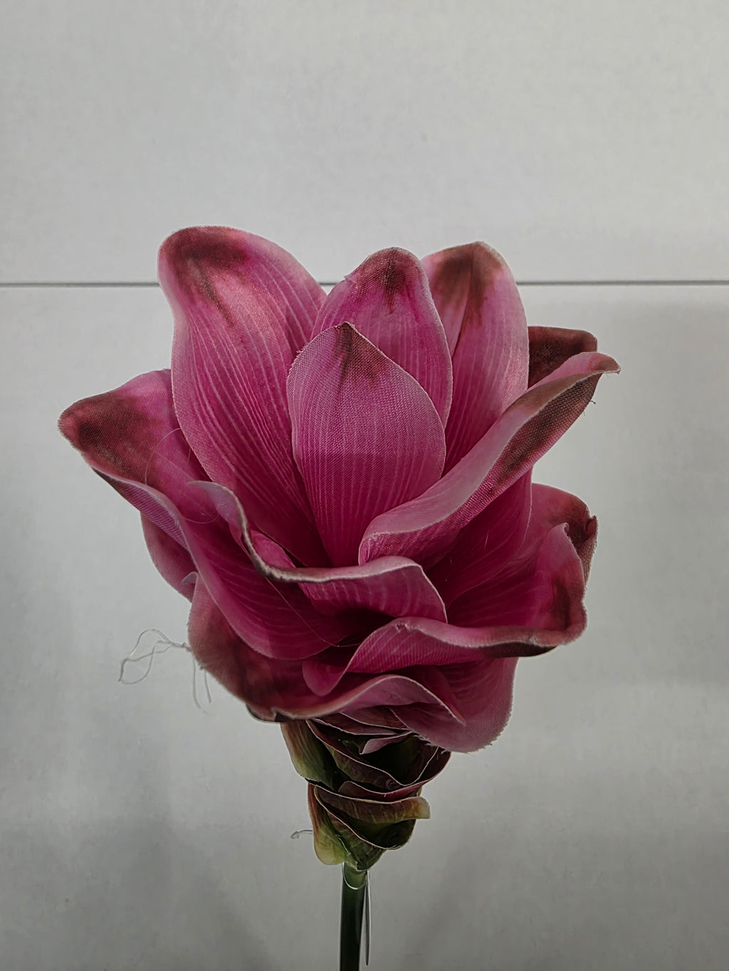 Artificial Curcuma Pink 63cm (PACK OF 2)