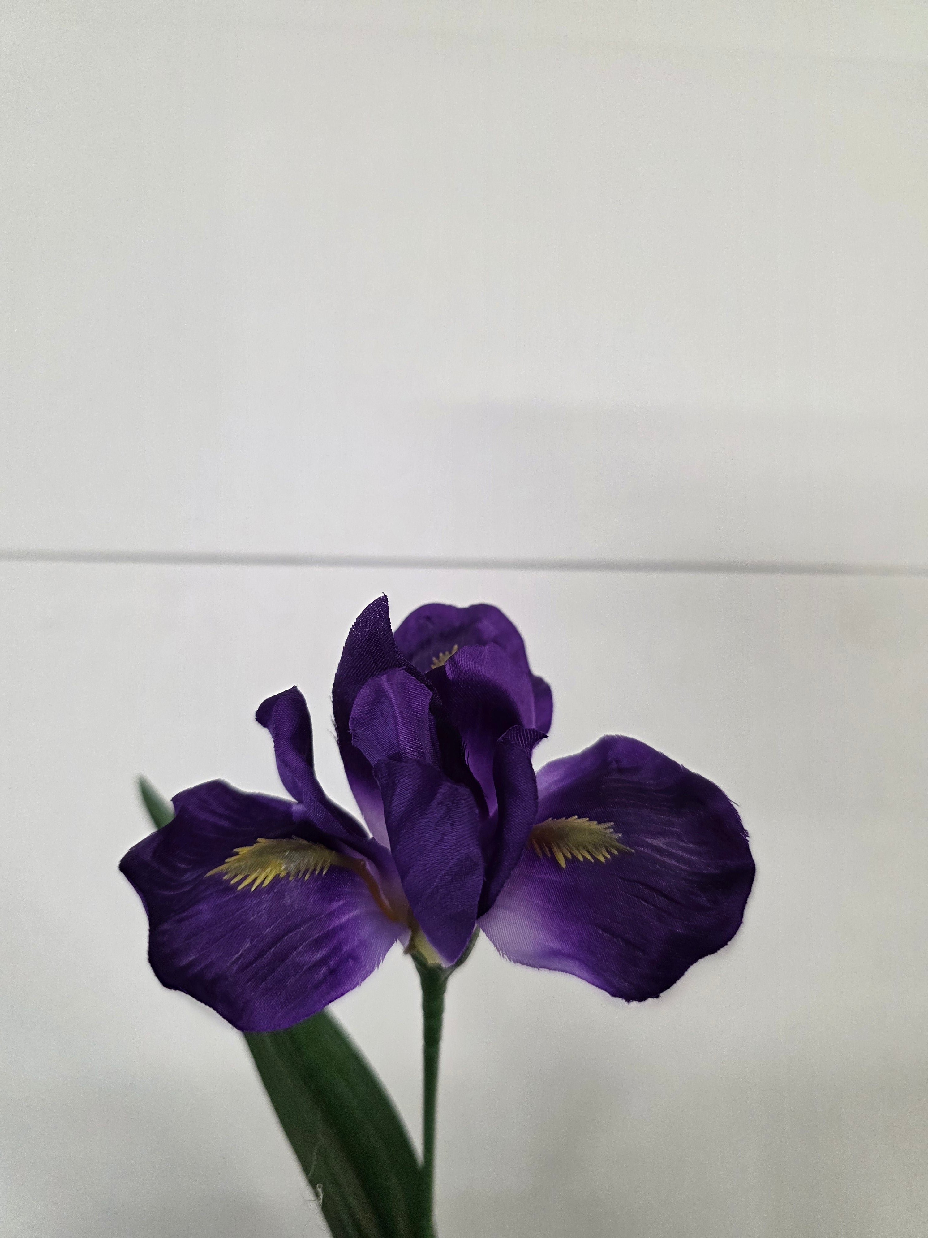 Artificial Iris Purple 60cm (PACK OF 5)