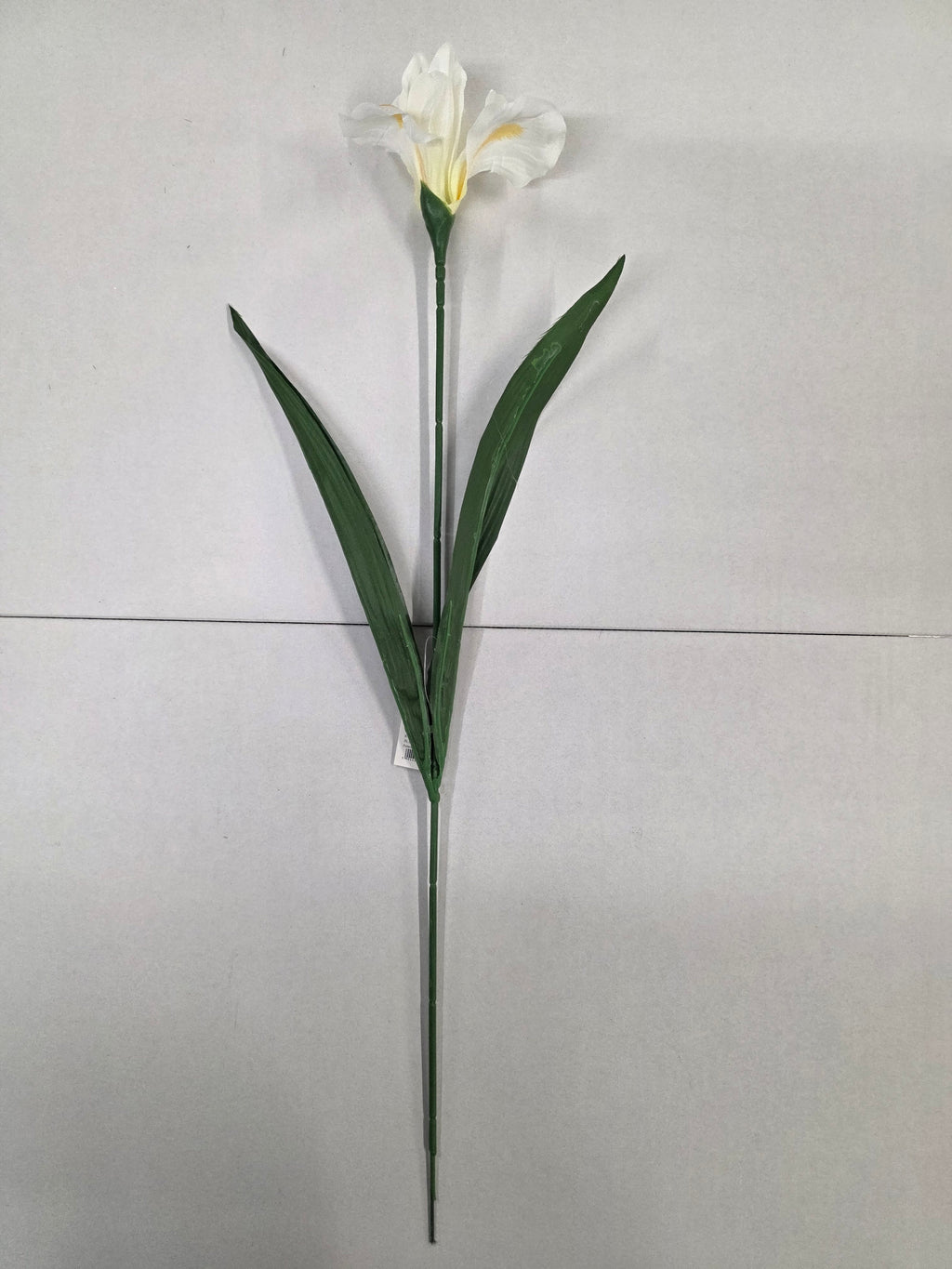 Artificial Iris White 60cm (PACK OF 5)