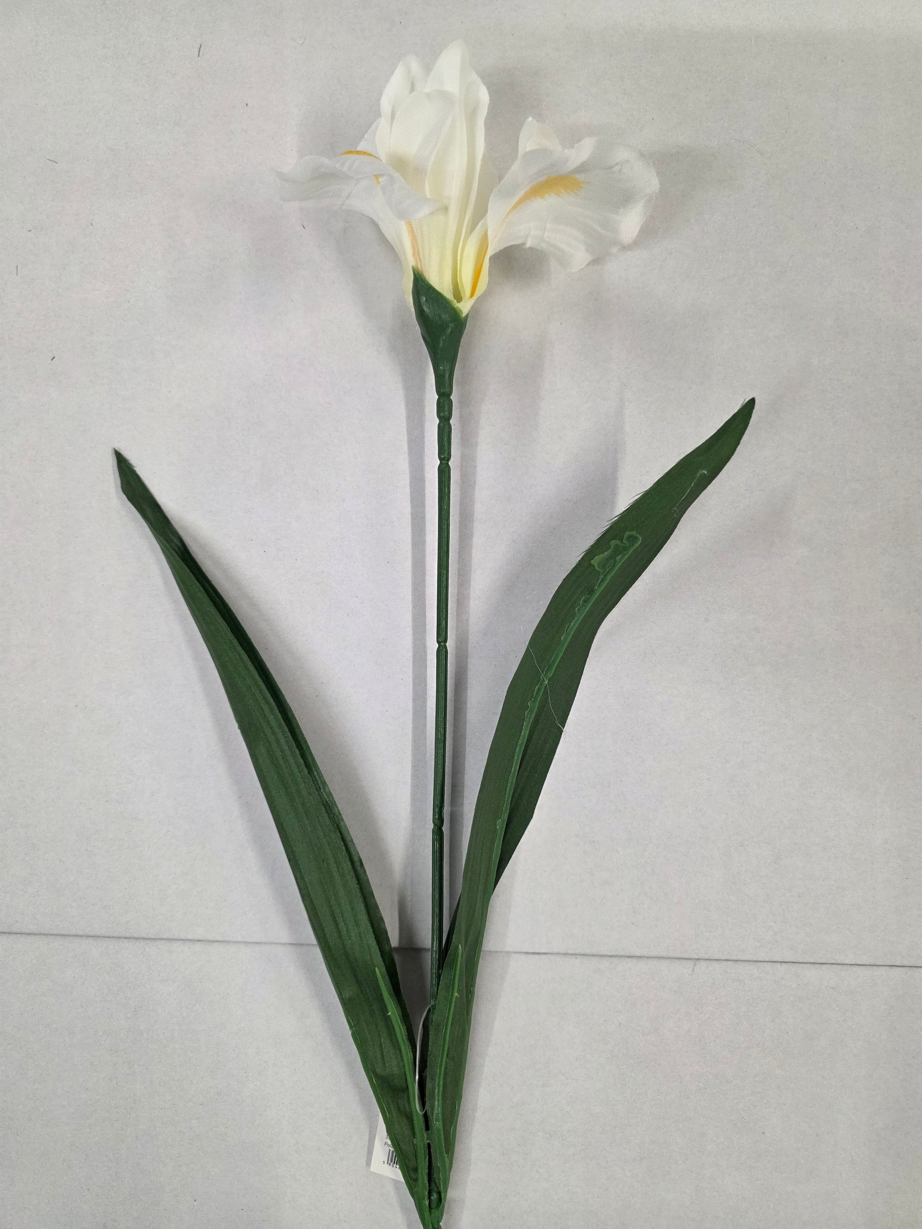 Artificial Iris White 60cm (PACK OF 5)