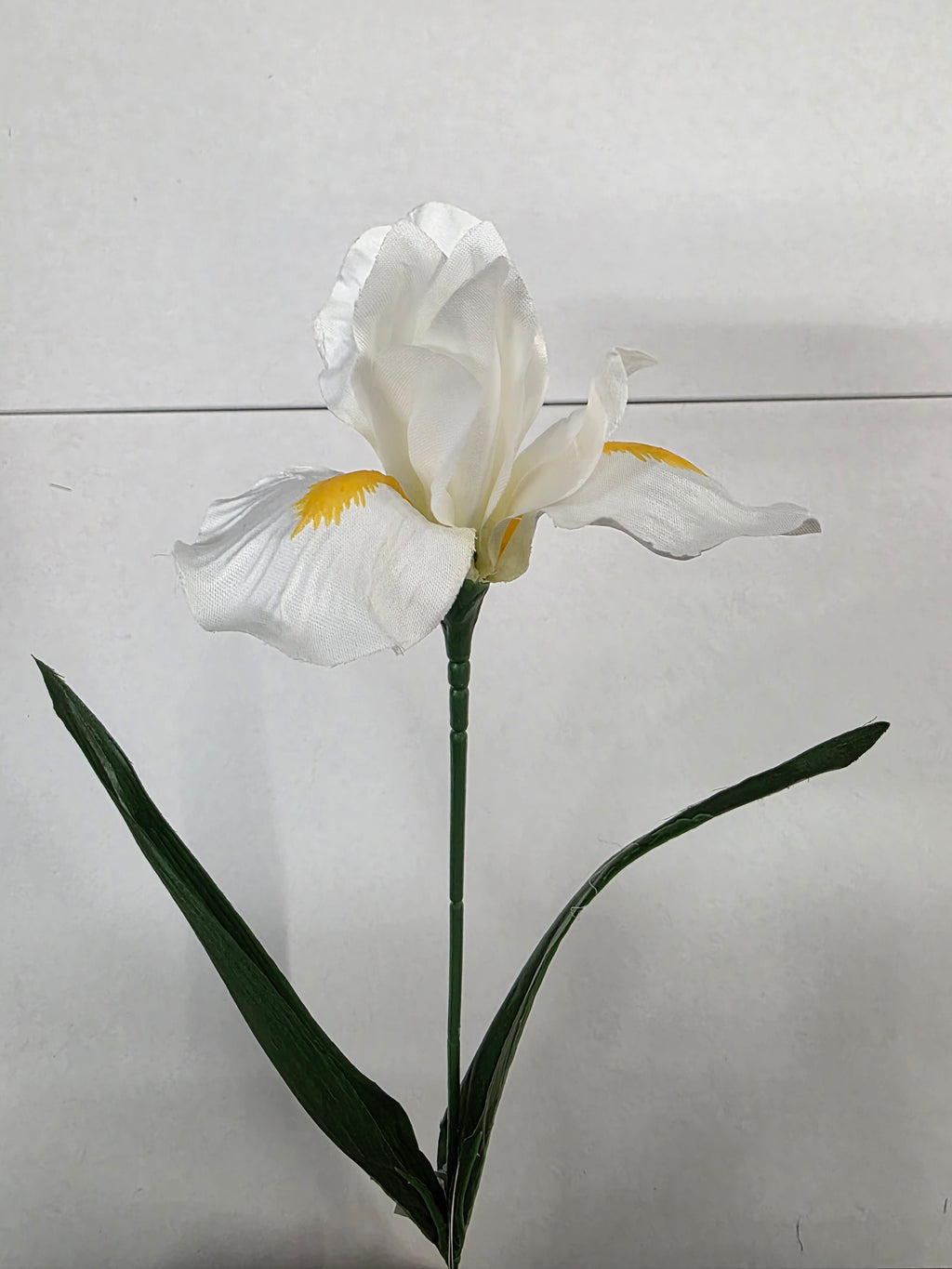 Artificial Iris White 60cm (PACK OF 5)