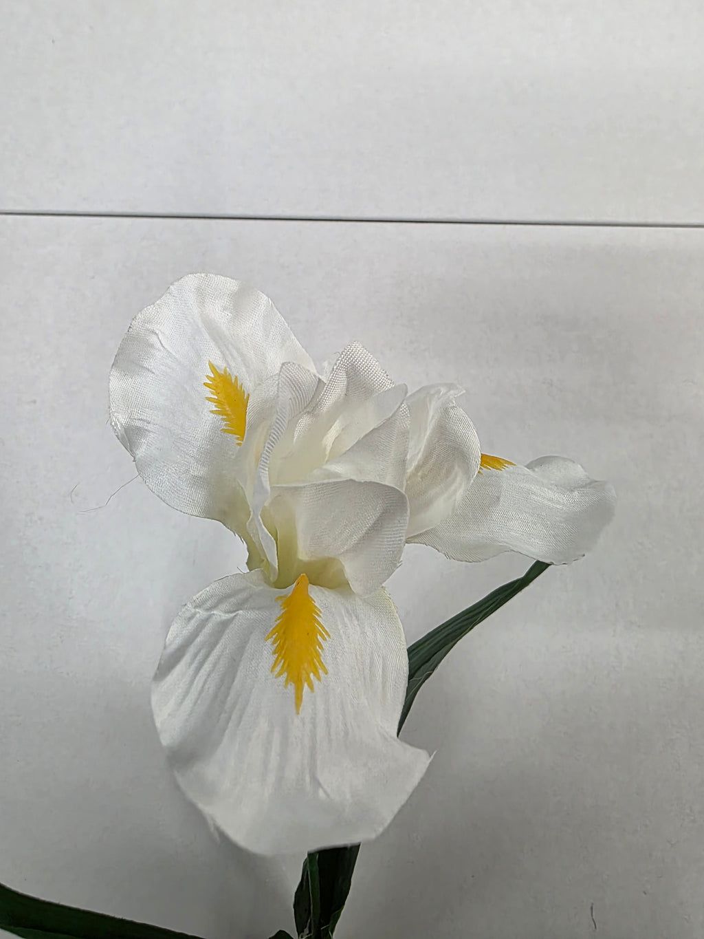 Artificial Iris White 60cm (PACK OF 5)