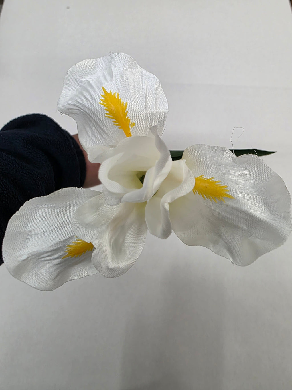 Artificial Iris White 60cm (PACK OF 5)