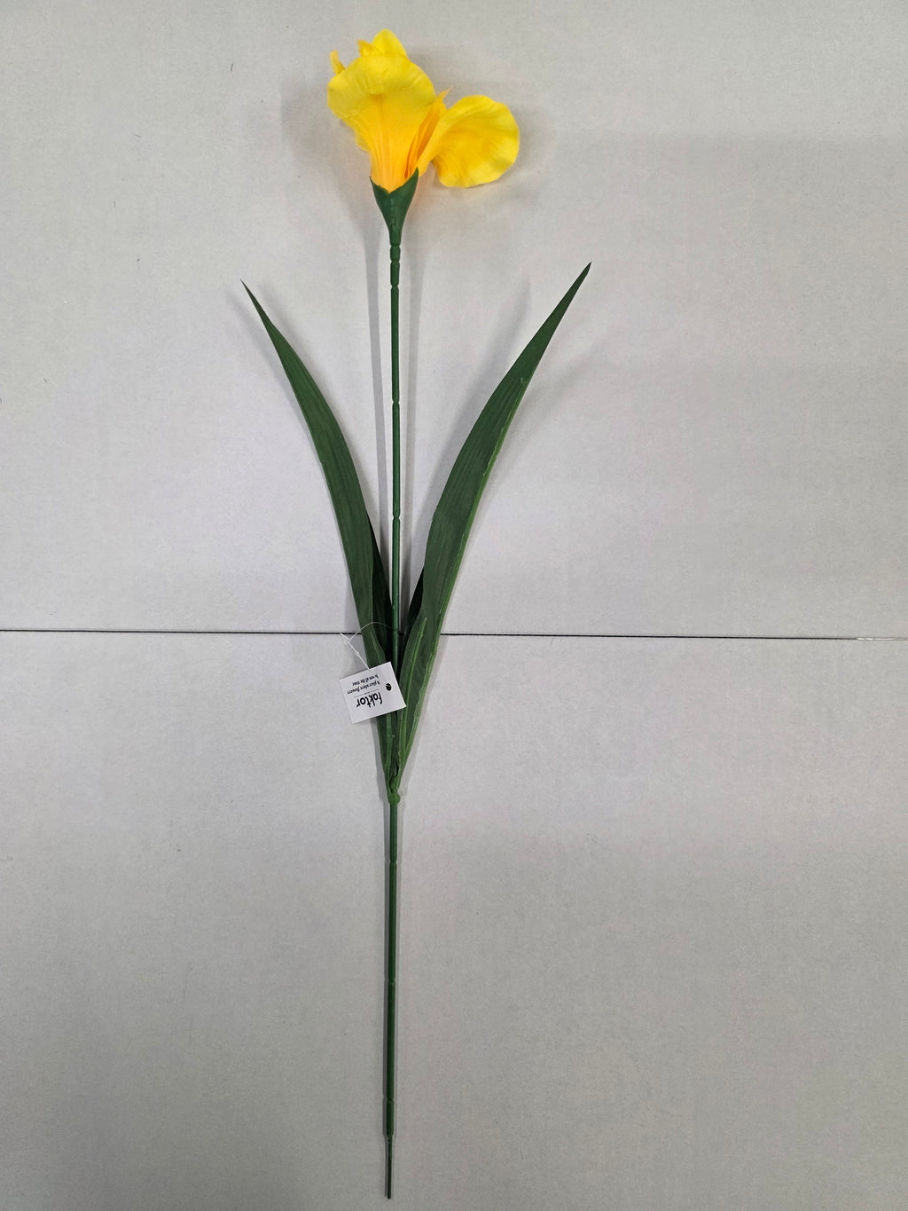 Artificial Iris Yellow 60cm (PACK OF 5)