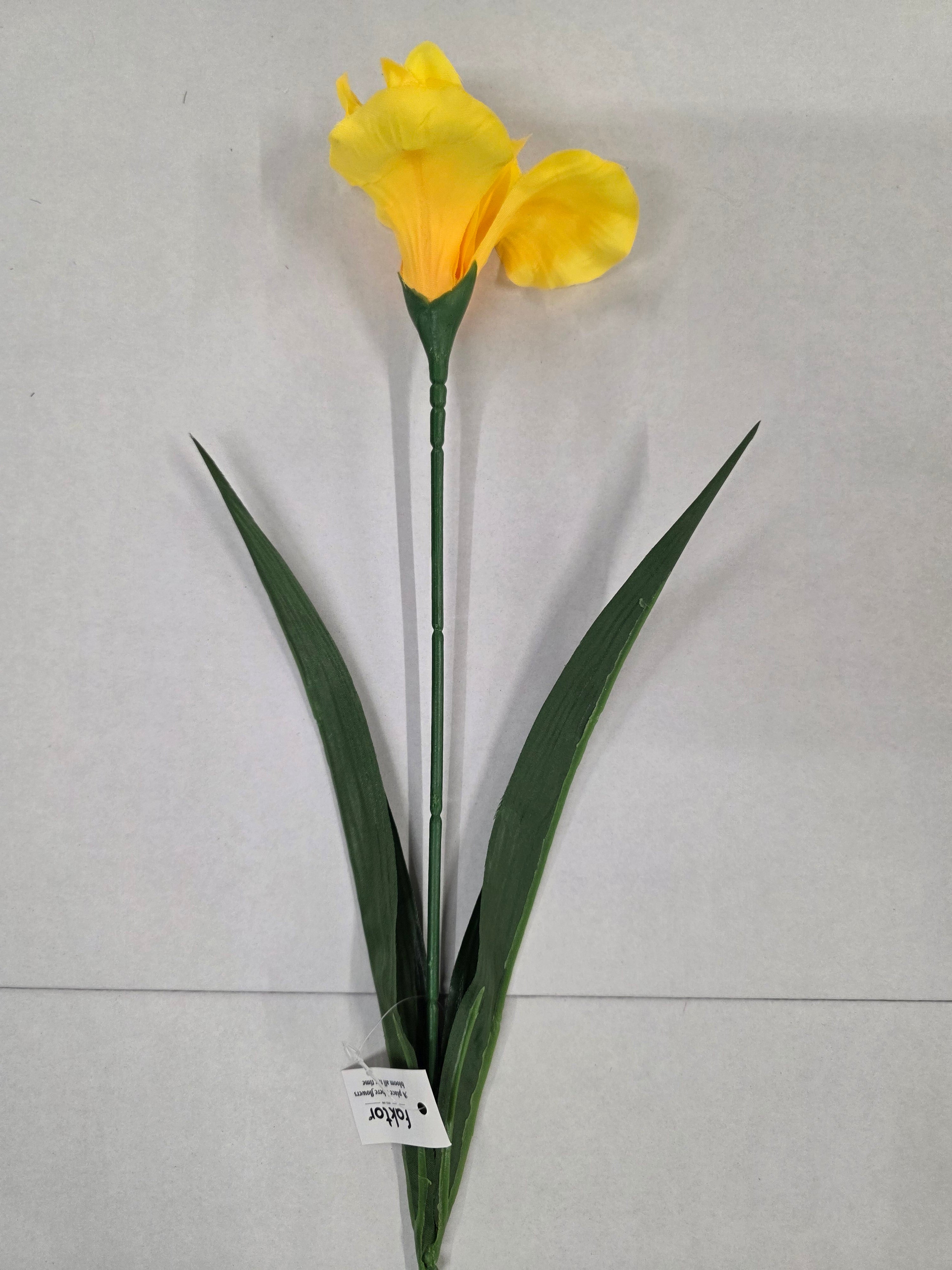 Artificial Iris Yellow 60cm (PACK OF 5)