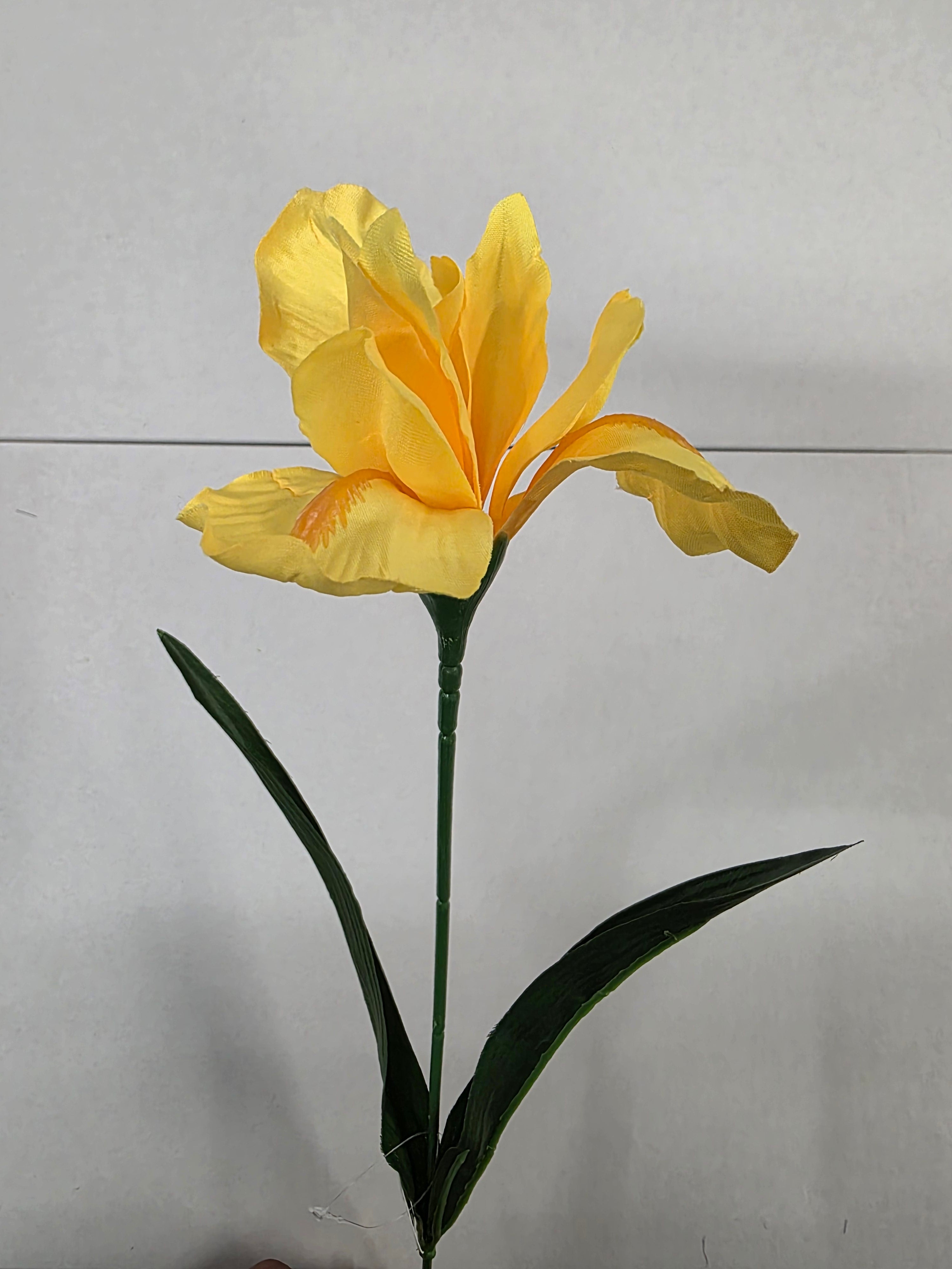 Artificial Iris Yellow 60cm (PACK OF 5)
