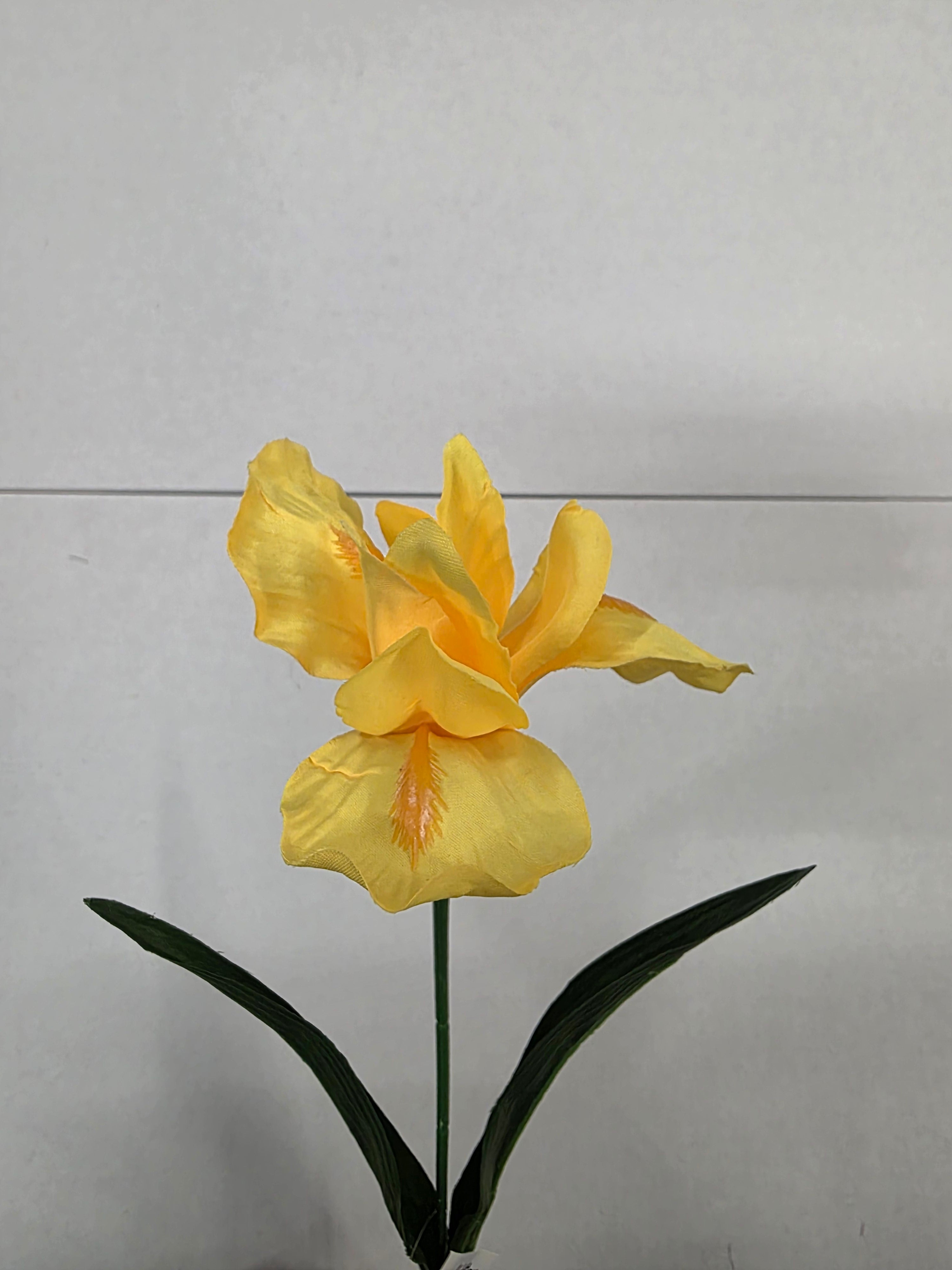 Artificial Iris Yellow 60cm (PACK OF 5)
