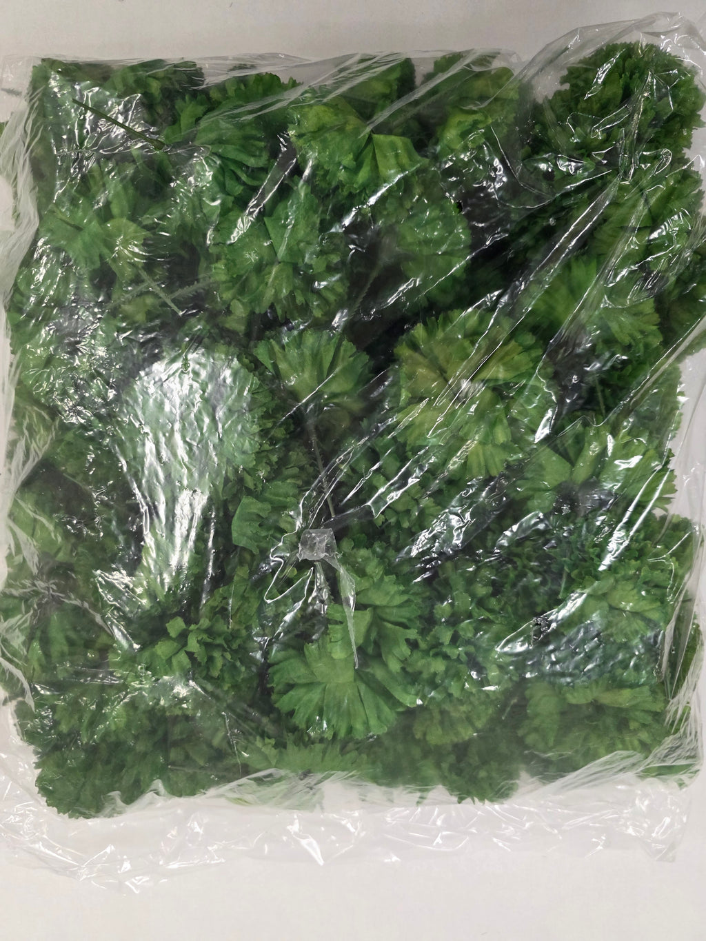 Artificial Carnation Pick Green X144