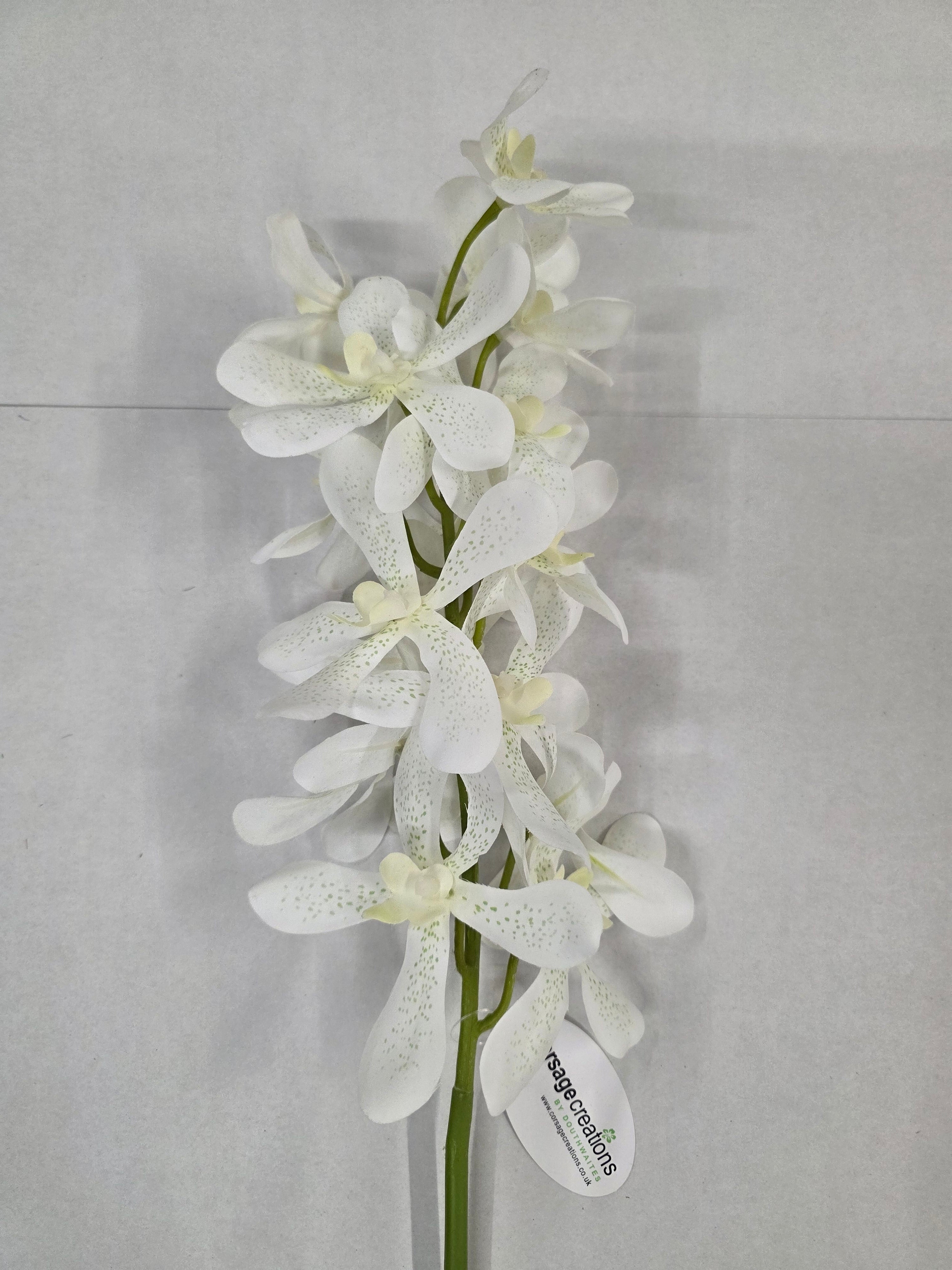 Artificial Vanda Orchid White Green 82cm
