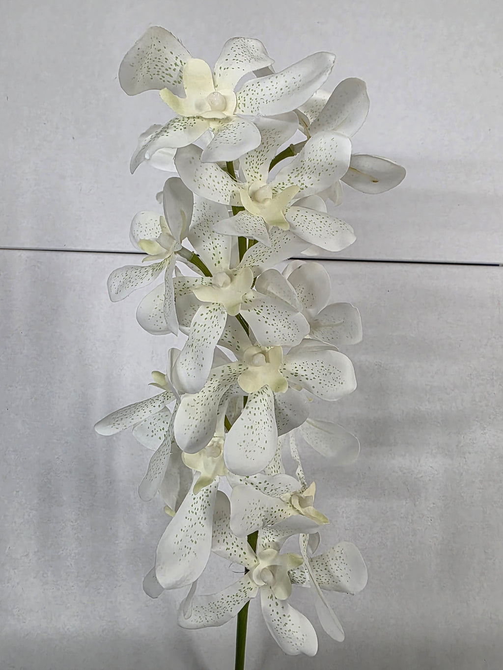 Artificial Vanda Orchid White Green 82cm