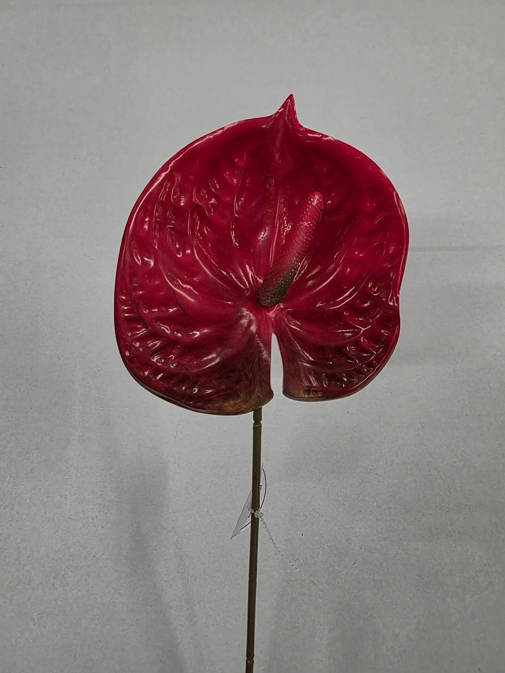 Artificial Anthurium Red (PACK OF 5)