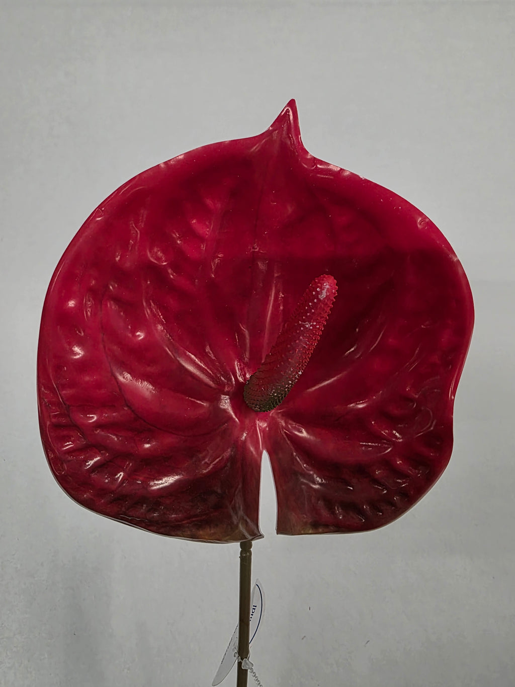 Artificial Anthurium Red (PACK OF 5)