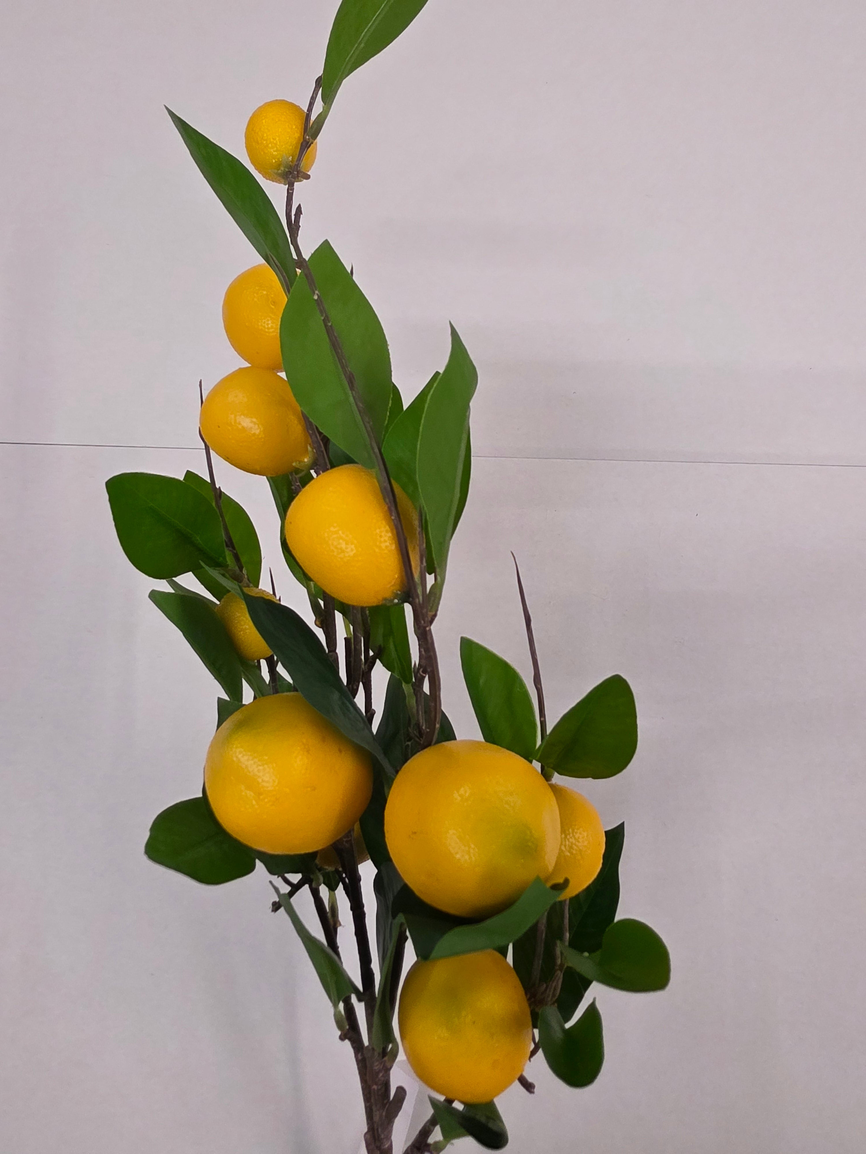 Artificial Branch Lemon 90cm