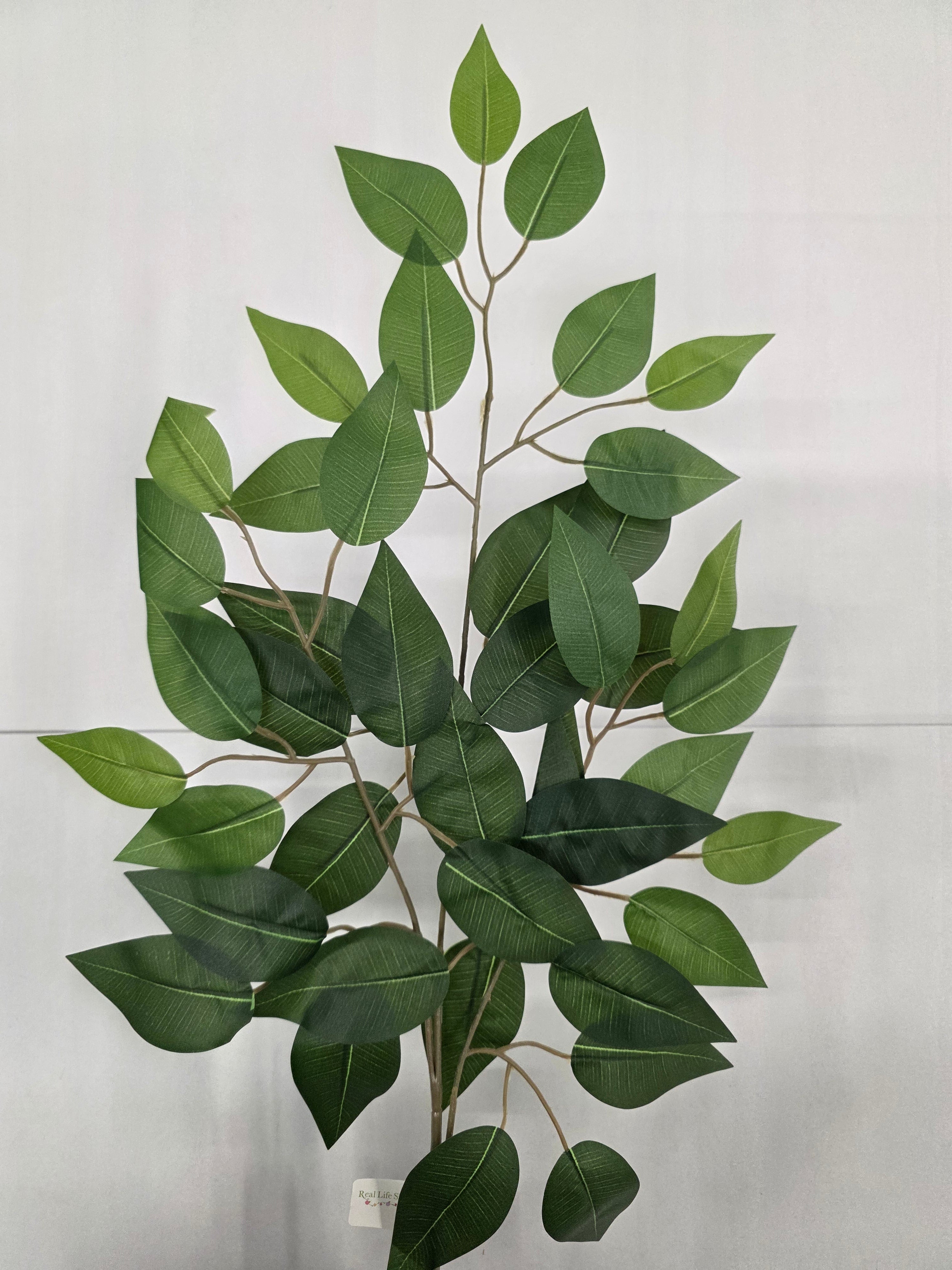 Artificial Fiscus Branch Green 60cm (PACK OF 4)