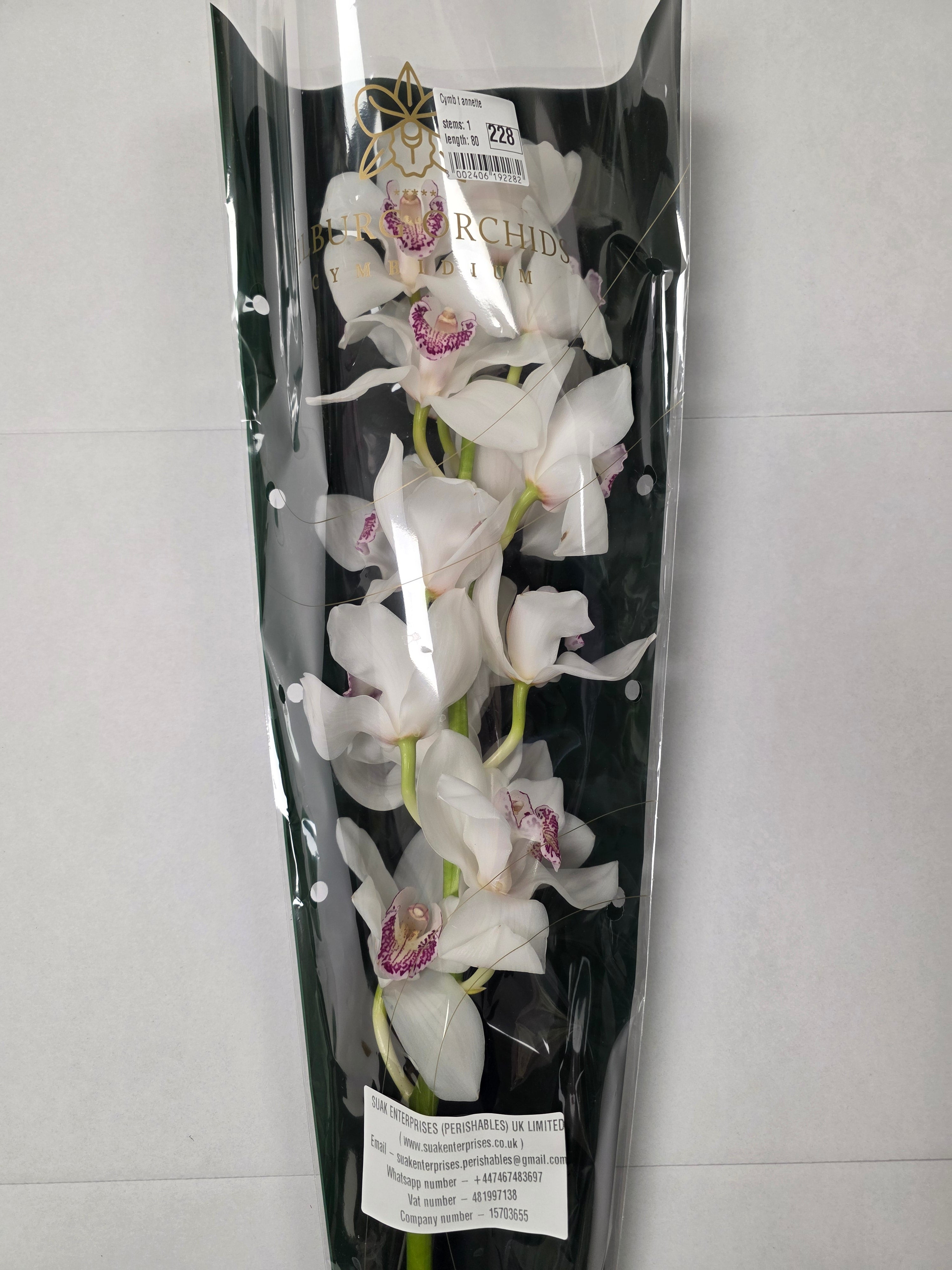 Farm Fresh Orchid/Cymbidium Tak Annette (Bunch of 1 stems, Length 80cm)