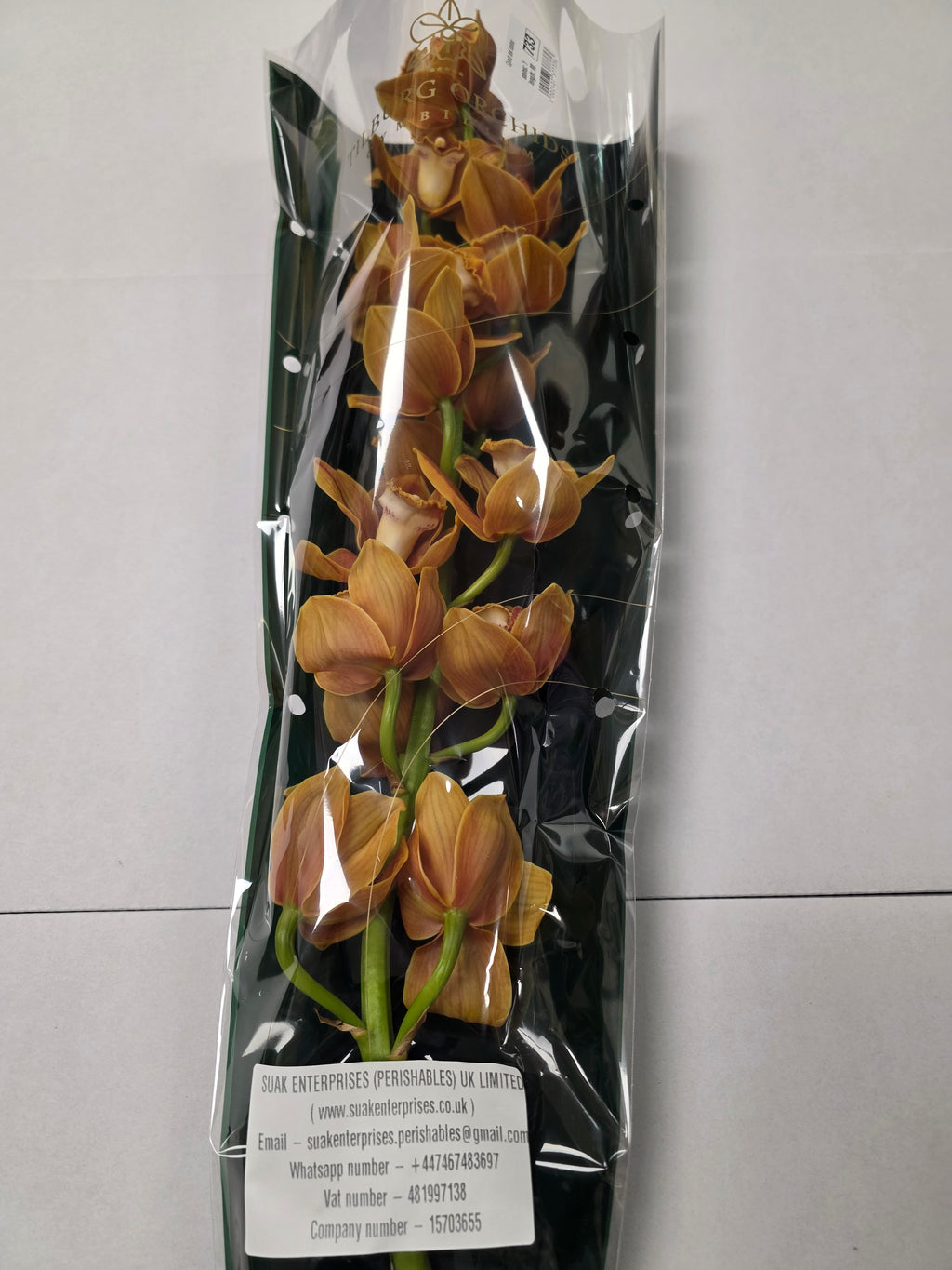 Farm Fresh Orchid/Cymbidium Tak Balou (Bunch of 1 stems, Length 80cm)