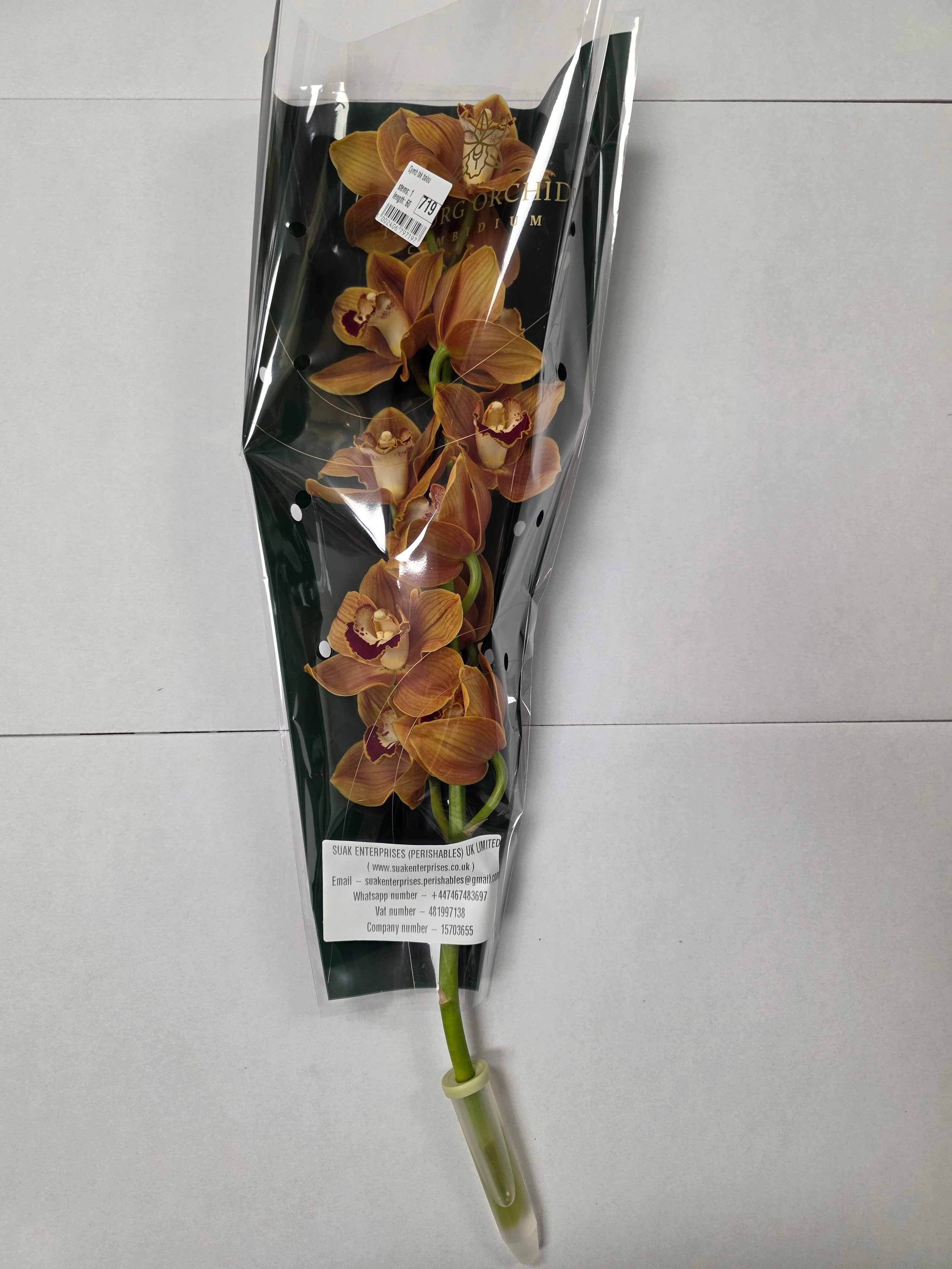 Farm Fresh Orchid/Cymbidium Tak Balou (Bunch of 1 stems, Length 60cm)