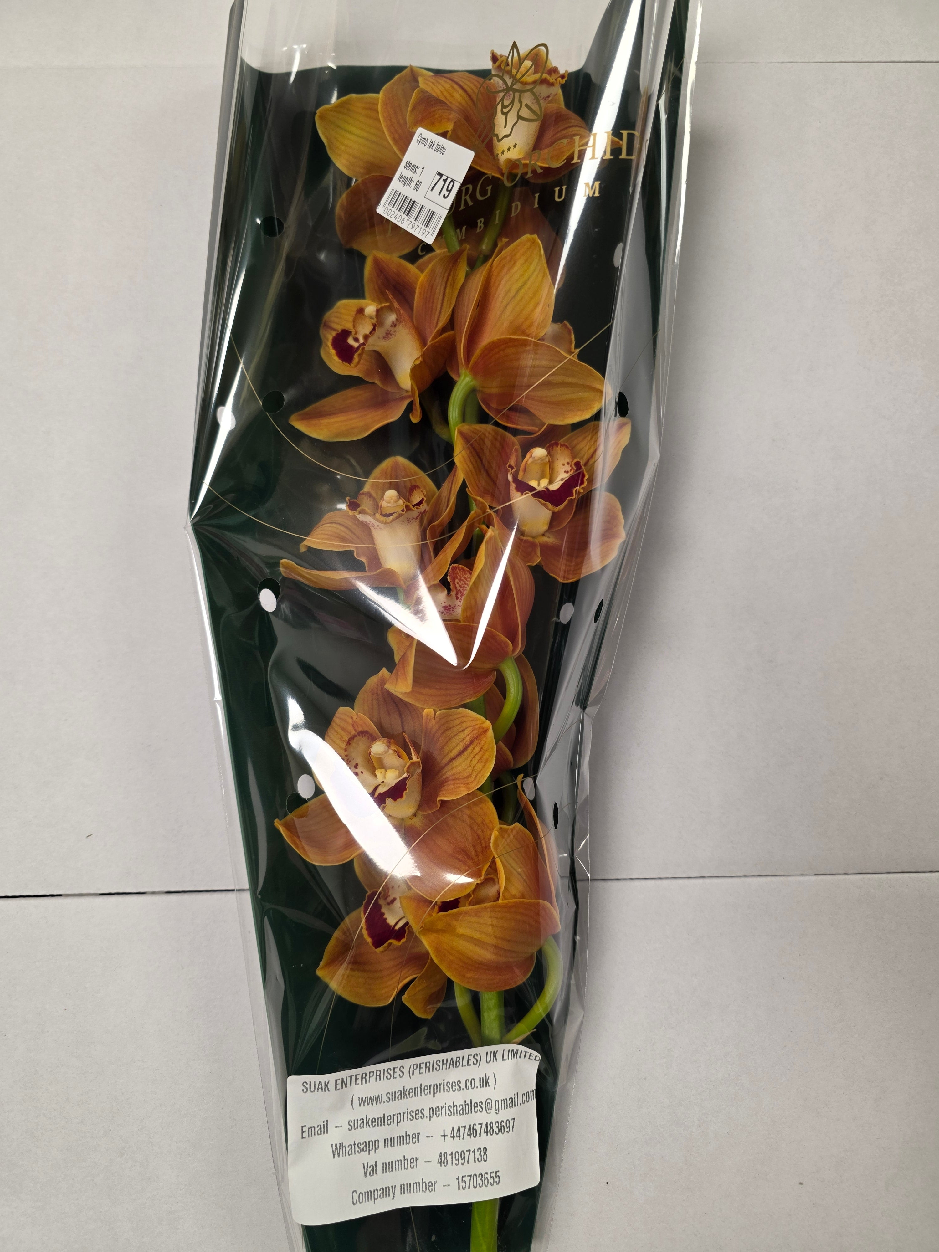 Farm Fresh Orchid/Cymbidium Tak Balou (Bunch of 1 stems, Length 60cm)